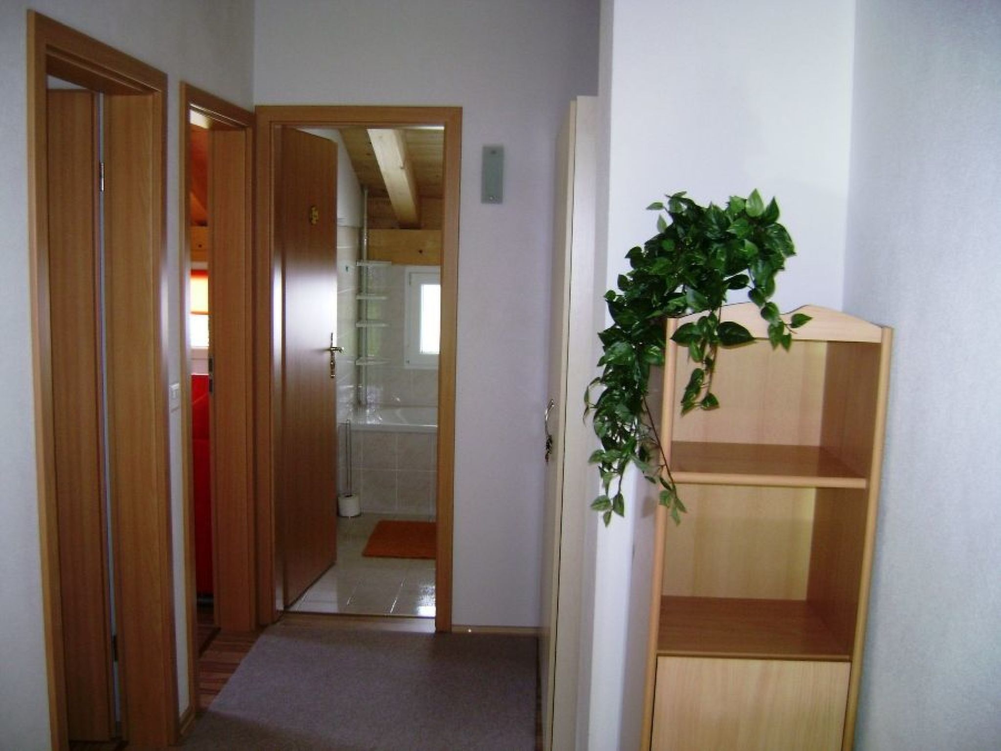 Casa Aurora Hendry-Canepa, (Sedrun / Cavorgia), 610.01