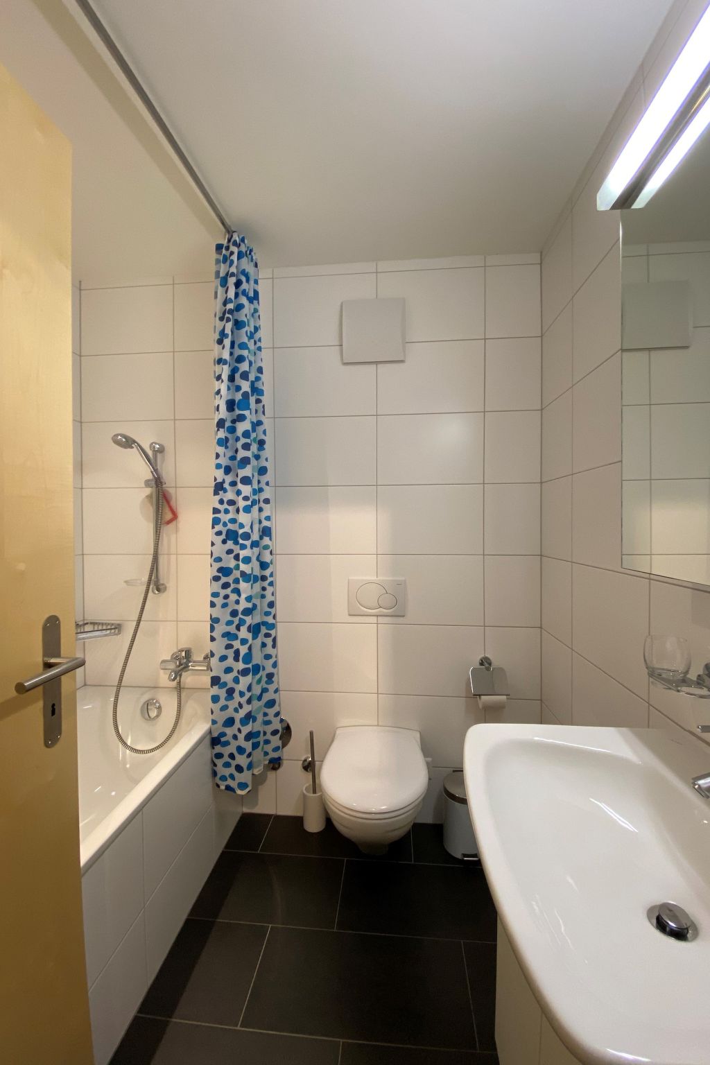 Appartement Dentervitgs, (Sedrun), – Salle de bains, photo 10 sur 13