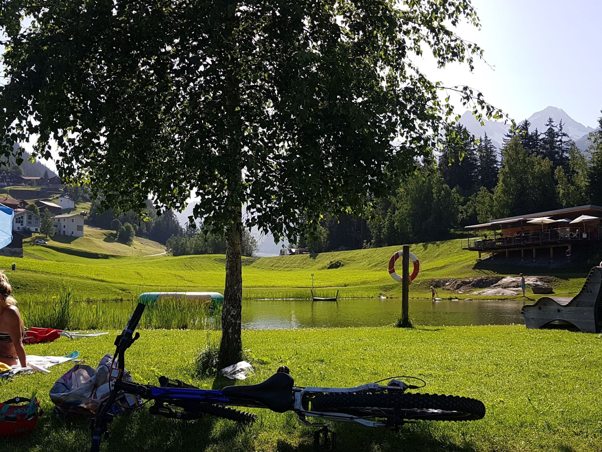Photo of Dentervitgs, (Sedrun), 136.04
