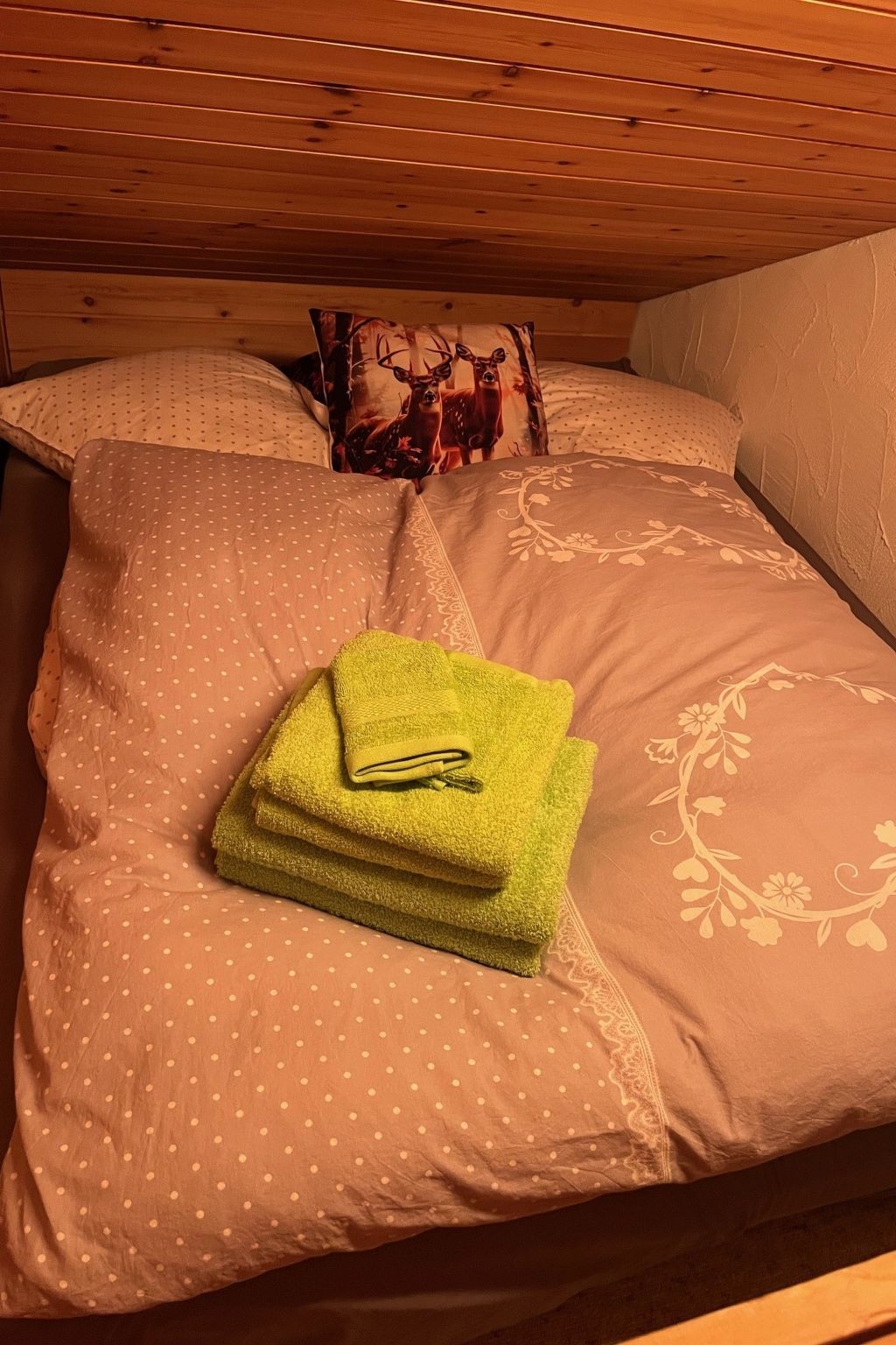 Casa Tresch Sedrun, (Tavetsch). - Binnen