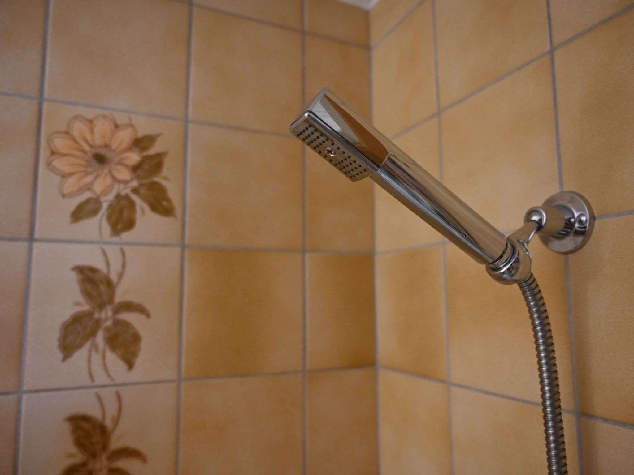 Casa Siara Costa, (Sedrun). - Dedans