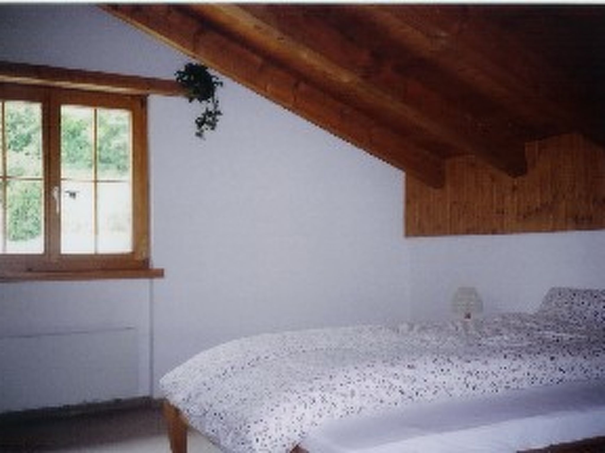 Cascharolas Bellingreri, (Rueras/Sedrun). - Binnen