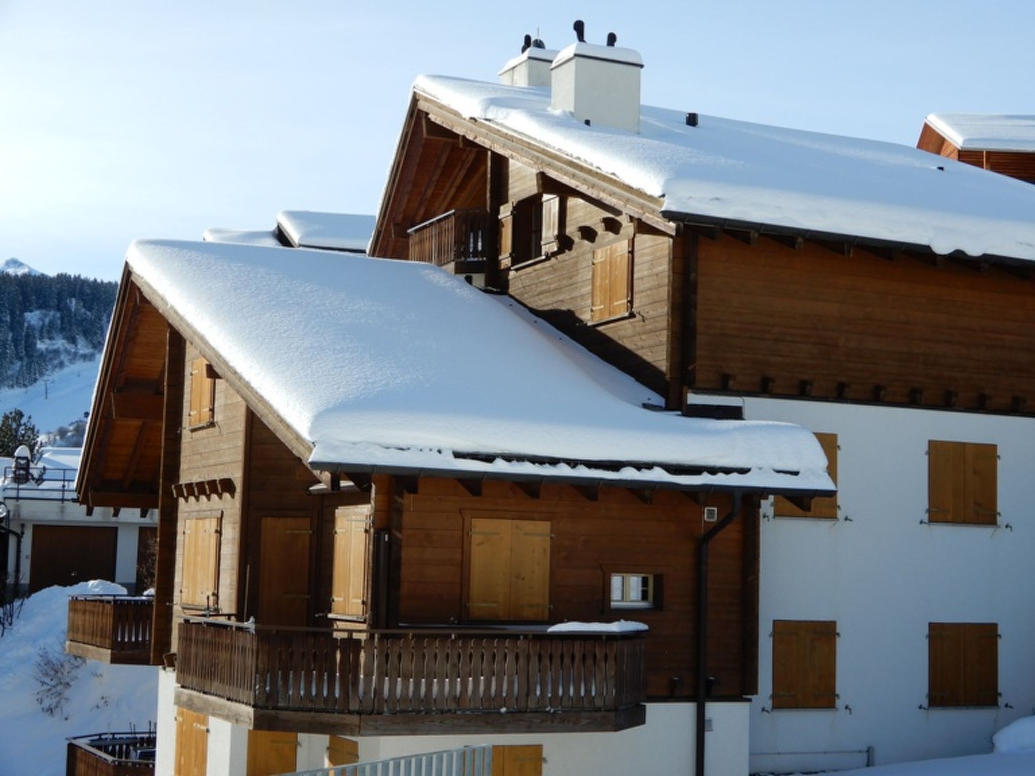 Cascharolas Bellingreri, (Rueras/Sedrun). - Buiten