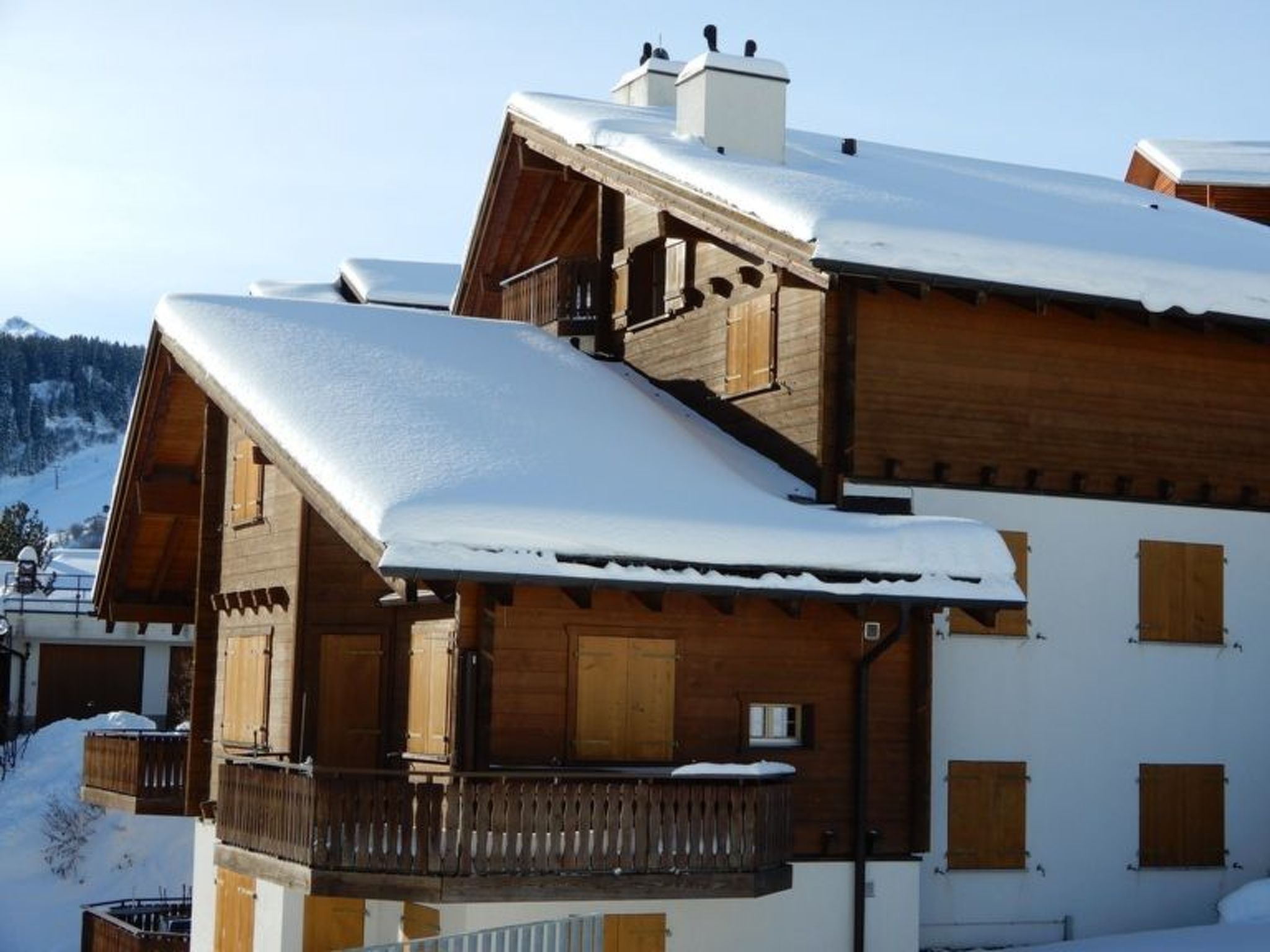Cascharolas Bellingreri, (Rueras/Sedrun), 653.01