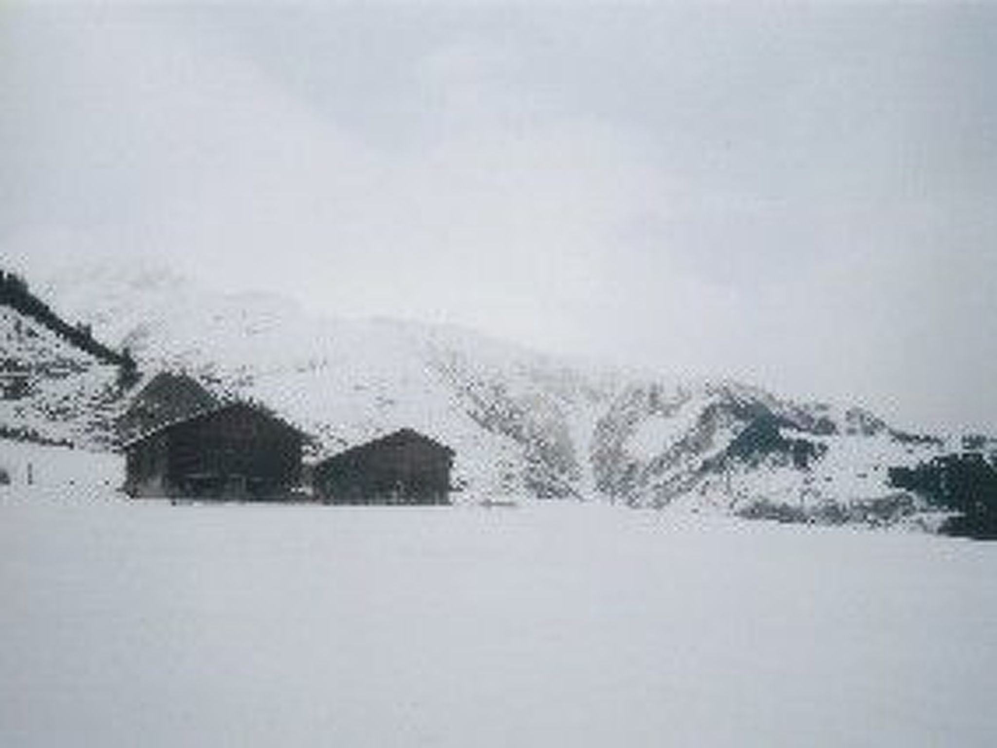 Cascharolas Bellingreri, (Rueras/Sedrun), 653.01