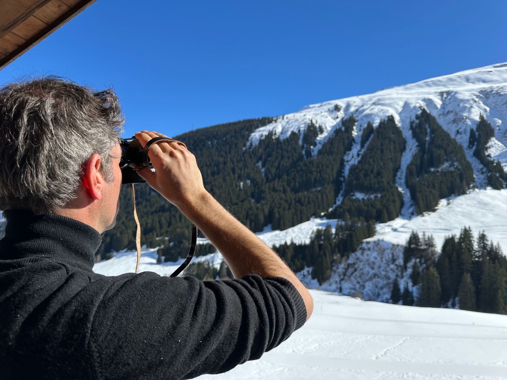 Blue Alpine Lodge-Binnen