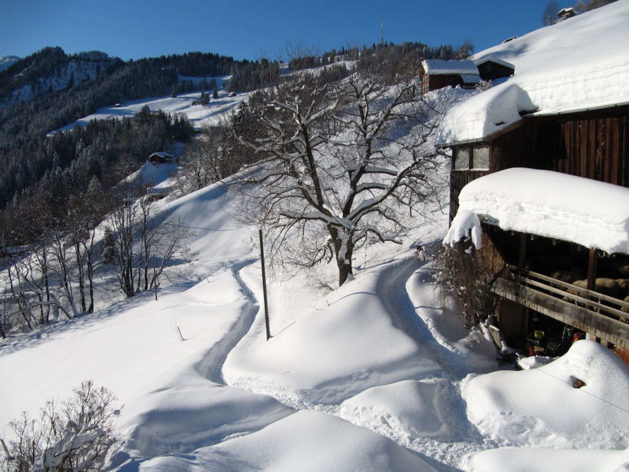 Stirnimann-Gemsch, (Valzeina), stirnimann-gemsch_valzeina - Outside