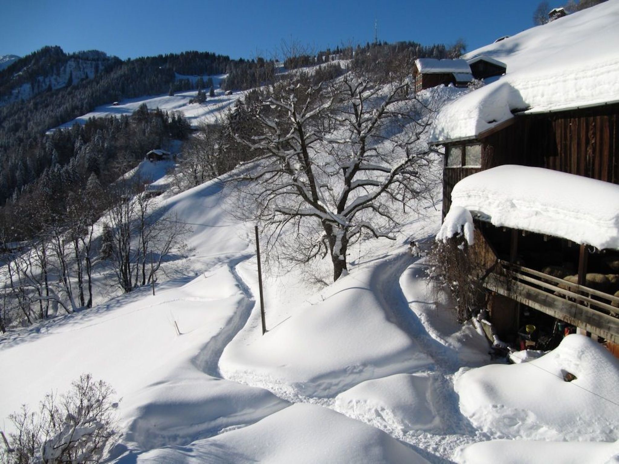 Stirnimann-Gemsch, (Valzeina), stirnimann-gemsch_valzeina