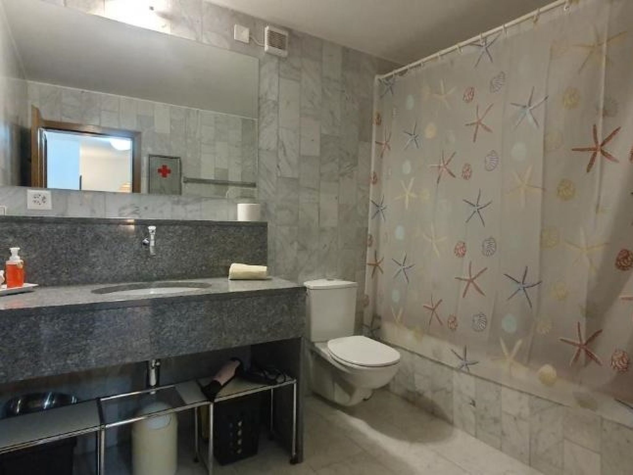 Heidi Holiday - Grand Maisonette-Attica, (Jenins). 5.5-Zimmerwohnung - Binnen