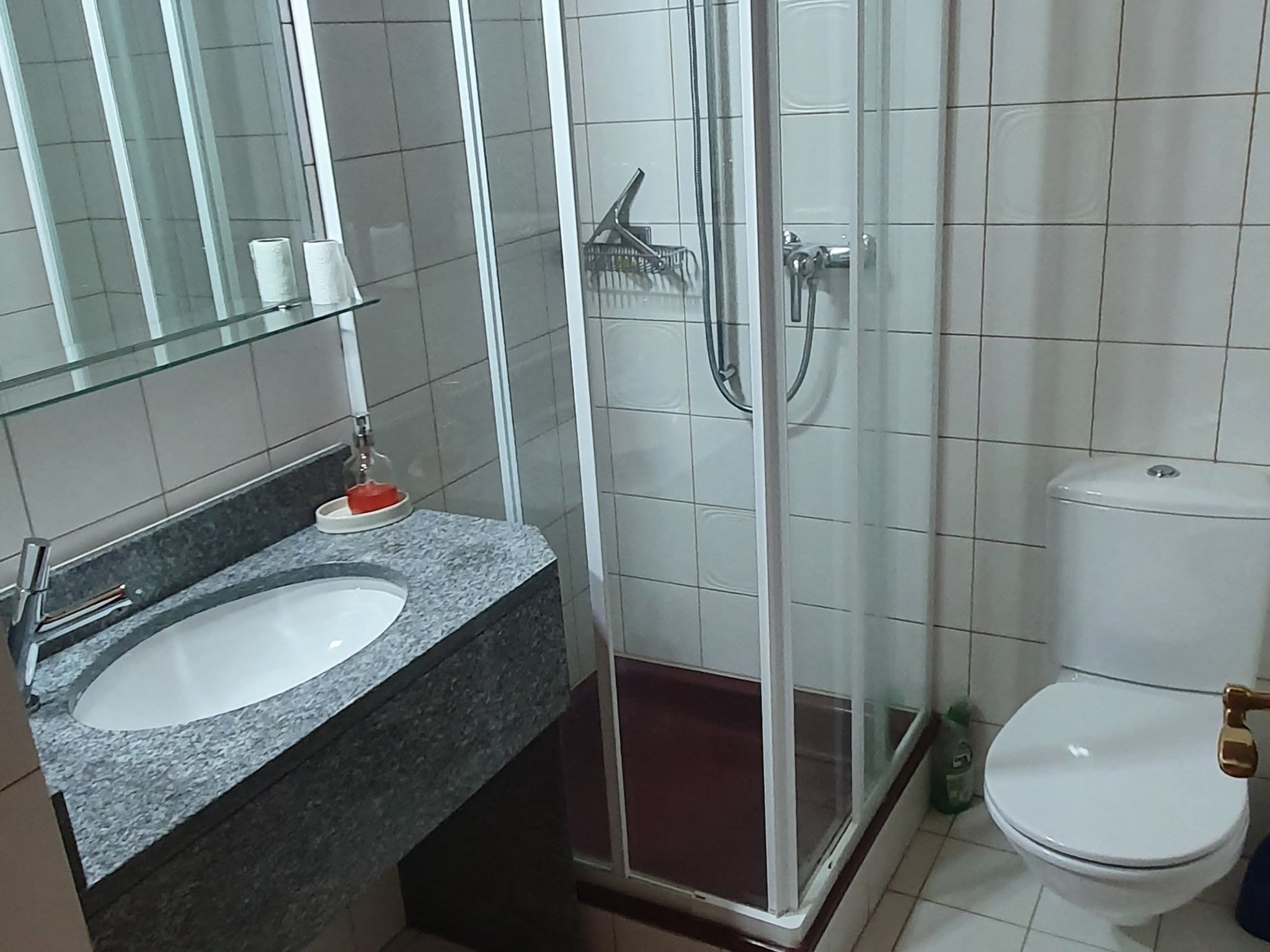 Heidi Holiday - Grand Maisonette-Attica, (Jenins). 5.5-Zimmerwohnung - Binnen