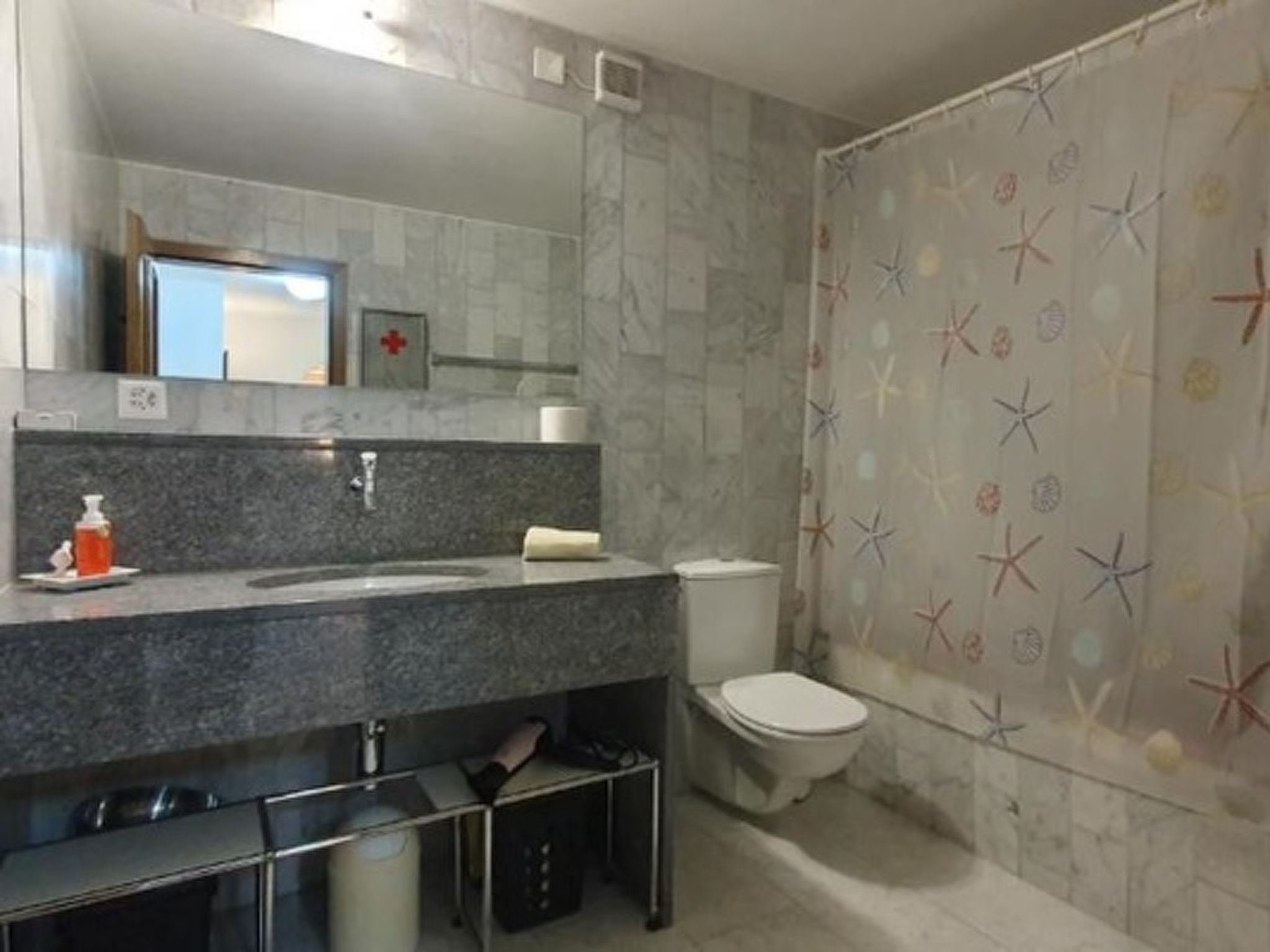 Heidi Holiday - Grand Maisonette-Attica, (Jenins). 5.5-Zimmerwohnung - Binnen