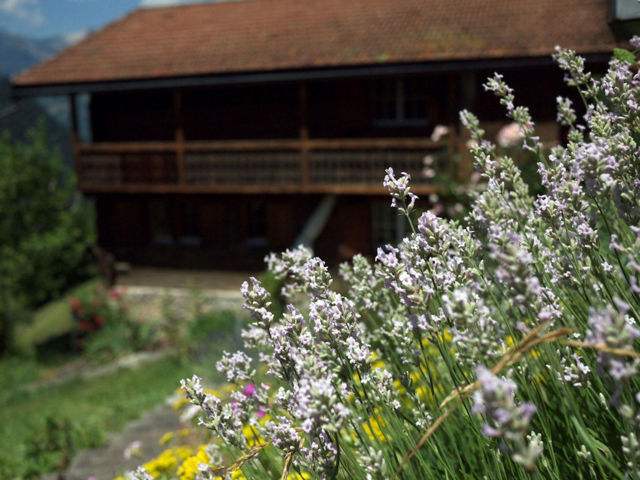 Ferienhaus Baschär, (Buchen), baschaer_buchen - Outside