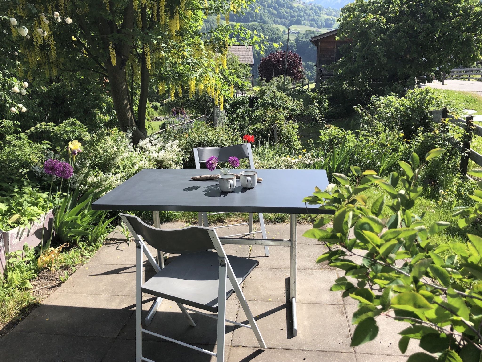 Haus Gujan, (Fideris). - Buiten