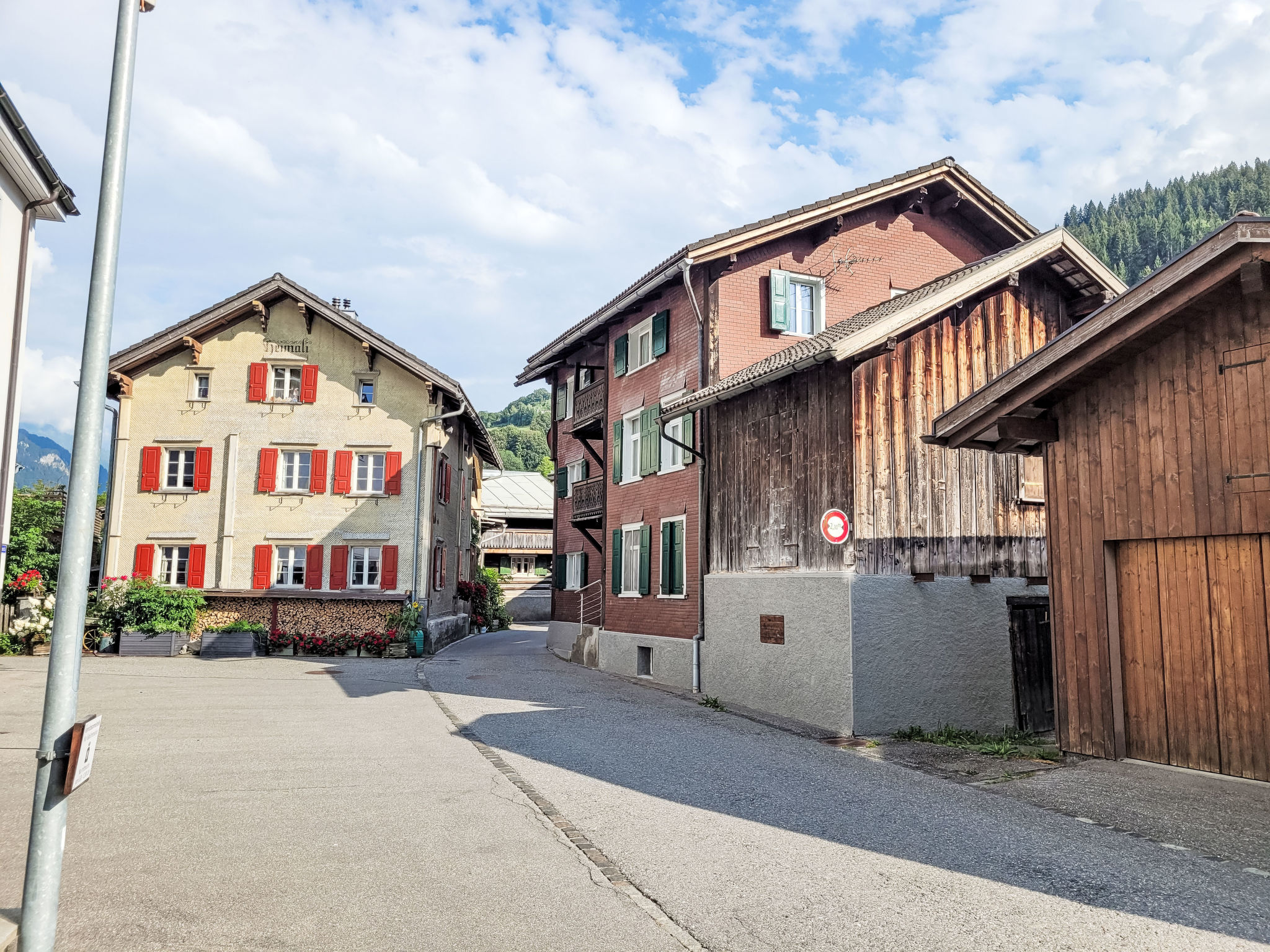 Glanzhirsch - Buiten
