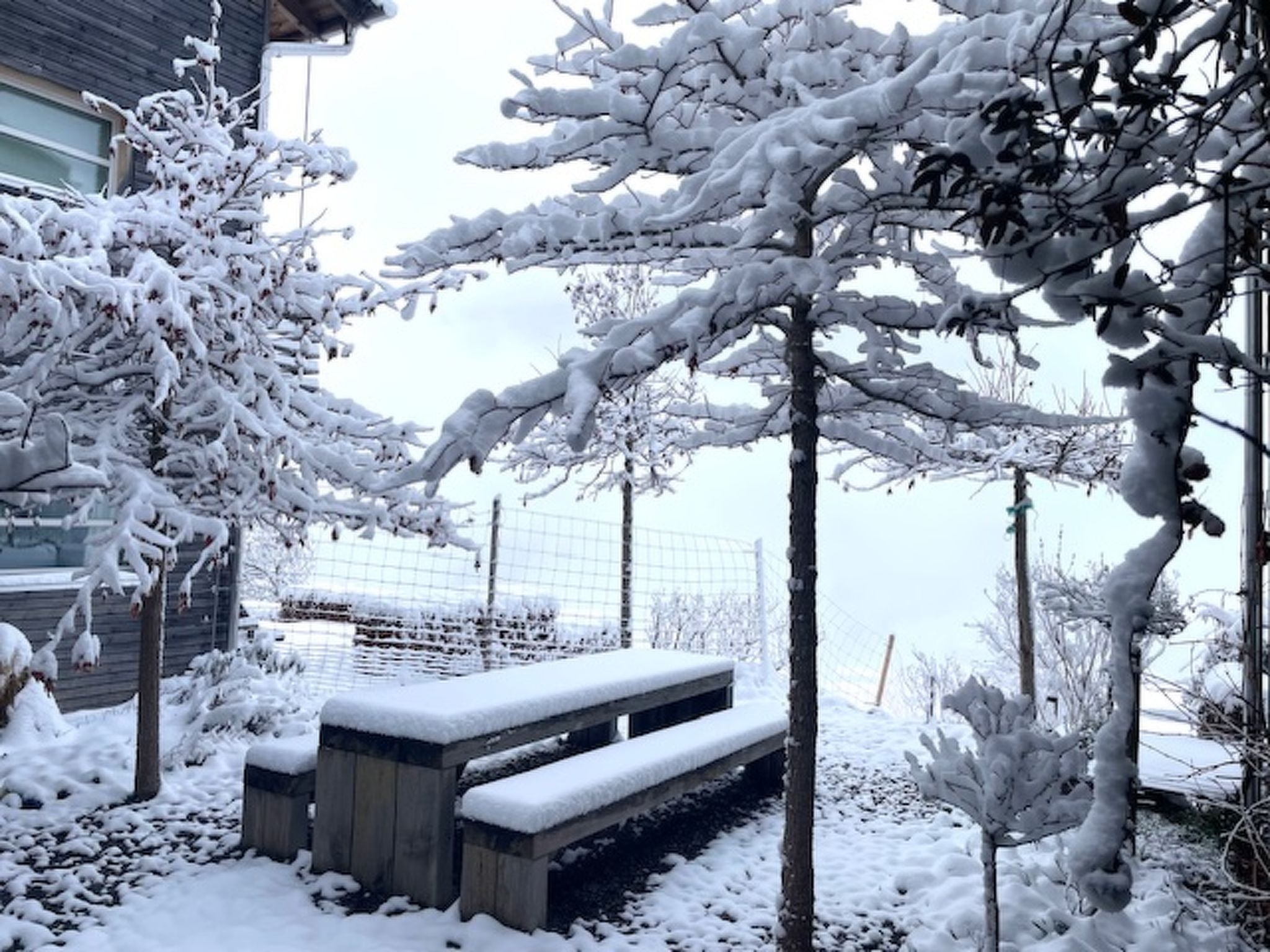 Ferienhaus Jukale, (Luzein), ferienhaus_jukale - Outside