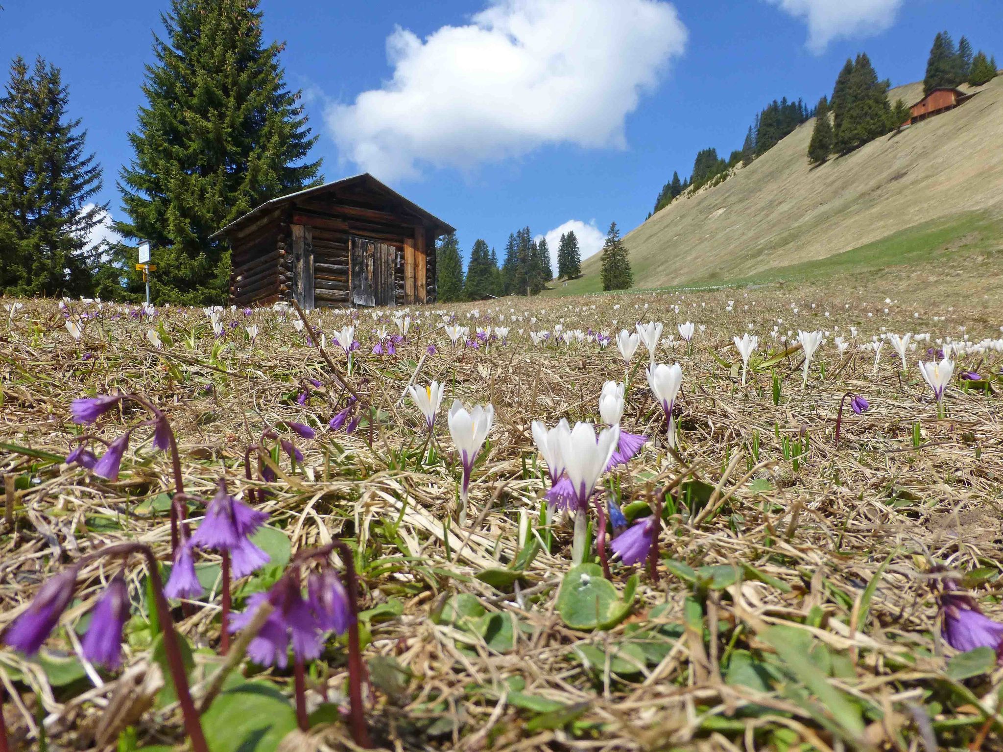 Ferienhaus Larix, (Pany), larix_pany - Outside