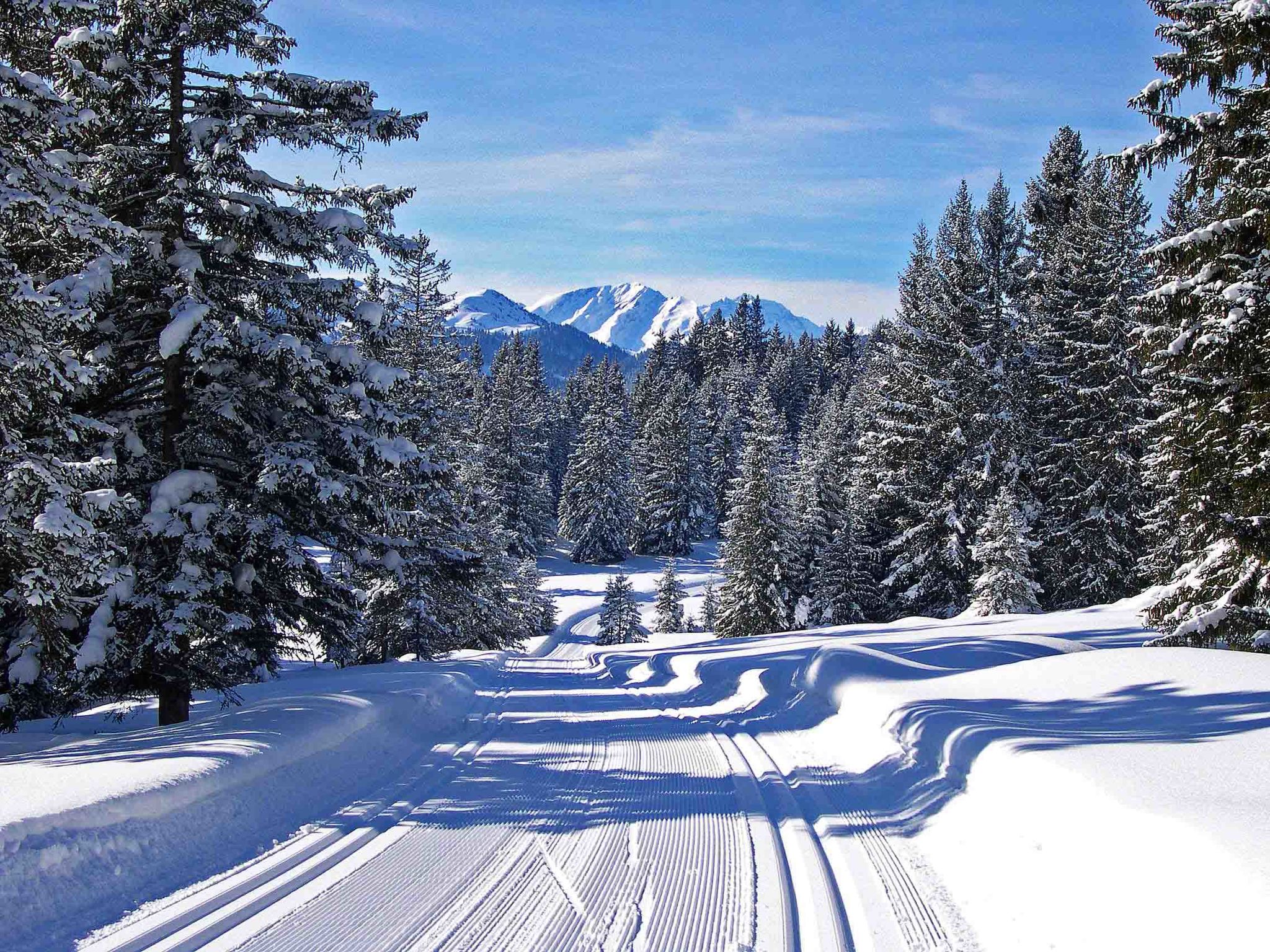 Larix, (Pany). - Buiten