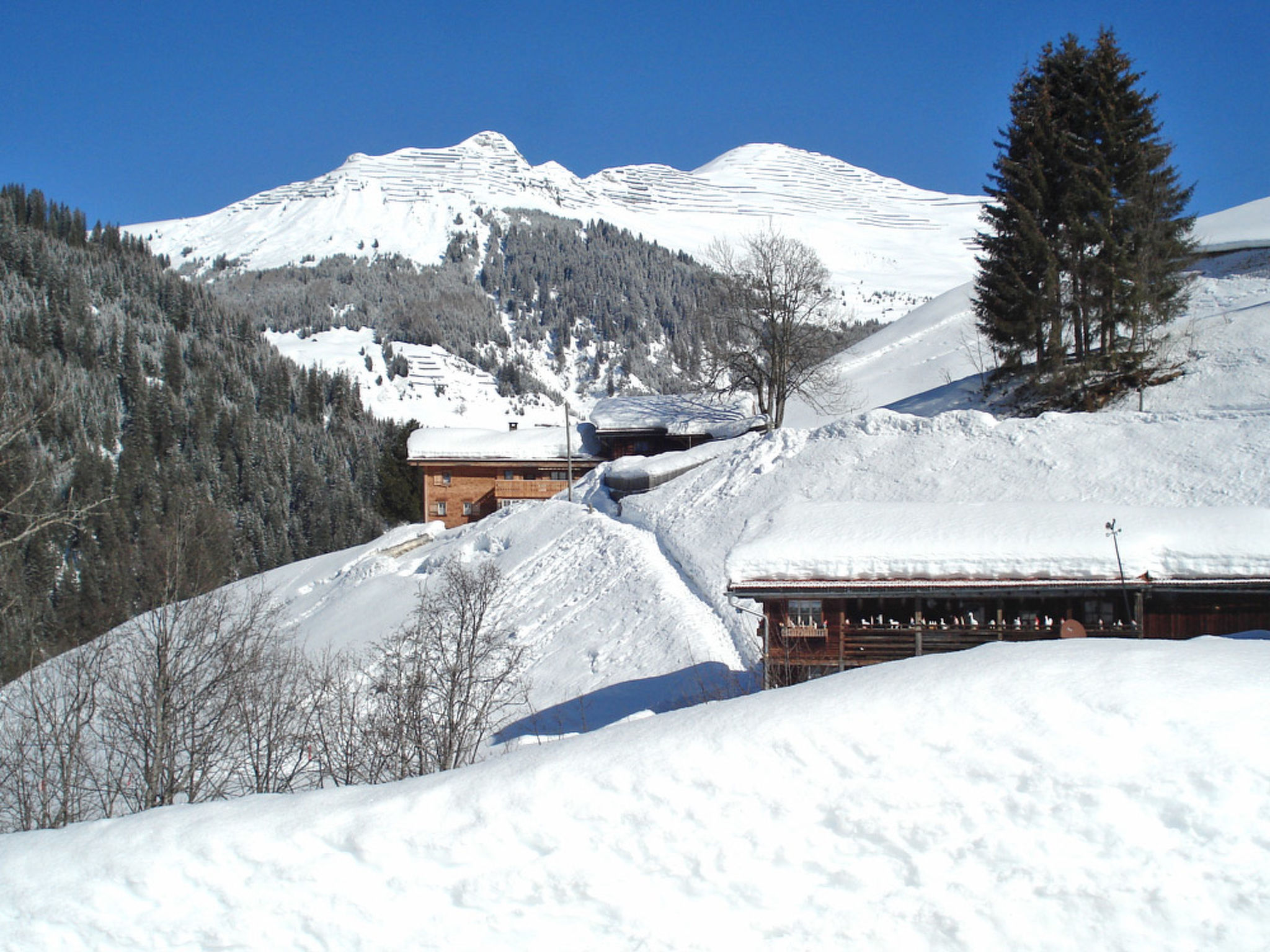 Tola, (St. Antönien), tola_stantoenien - Buiten