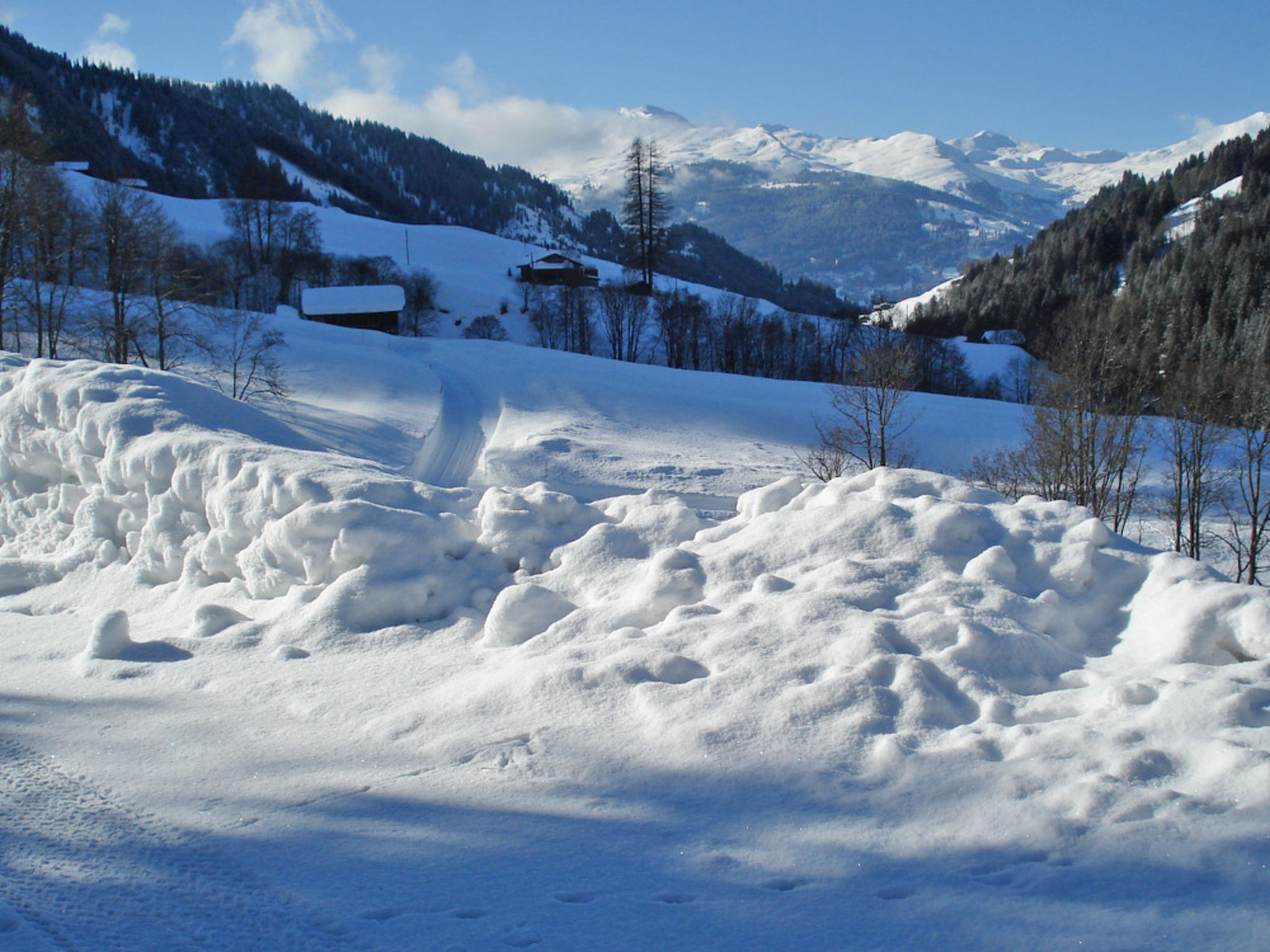 Tola, (St. Antönien), tola_stantoenien - Buiten