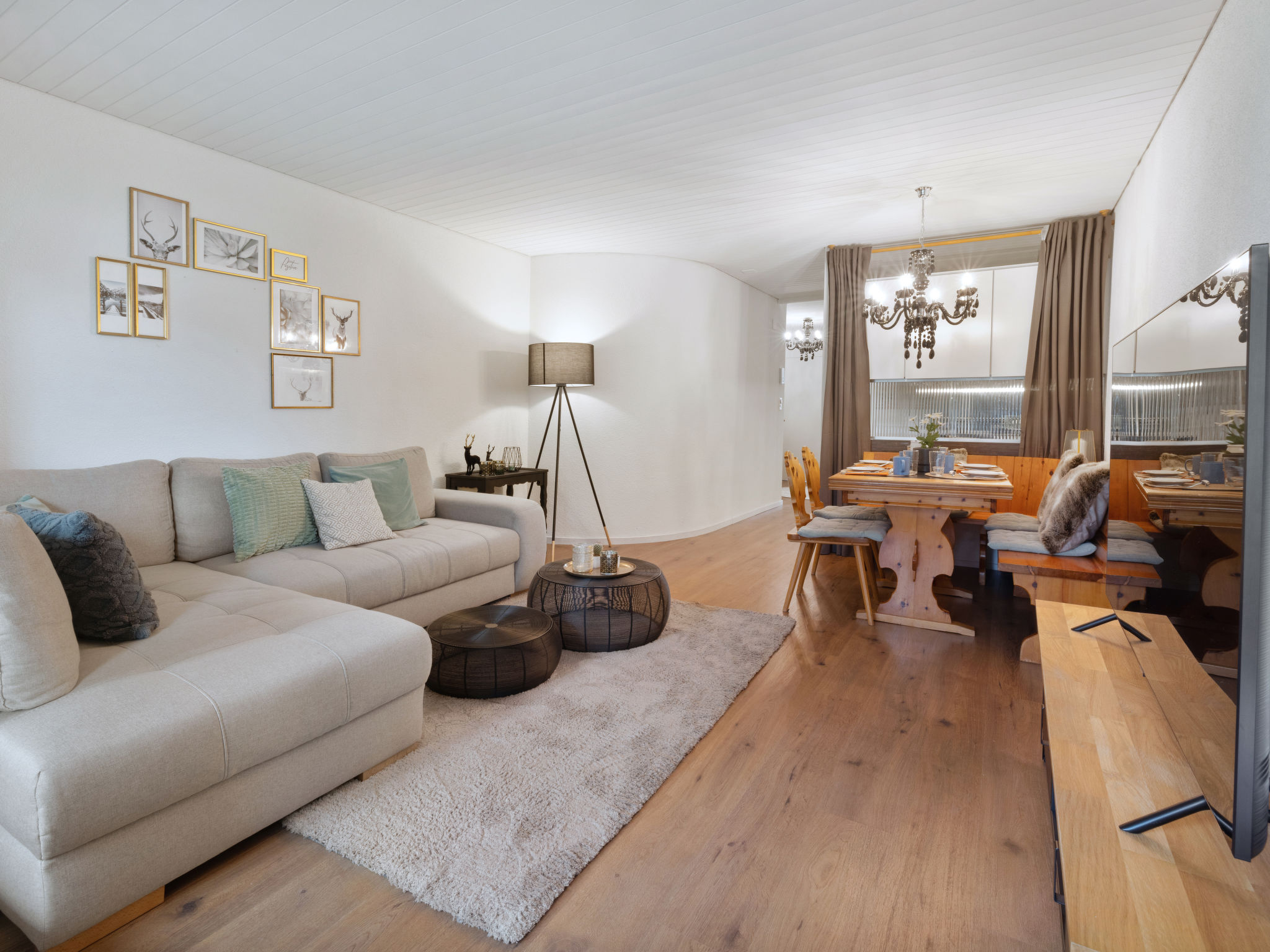 Verbena Apt 4