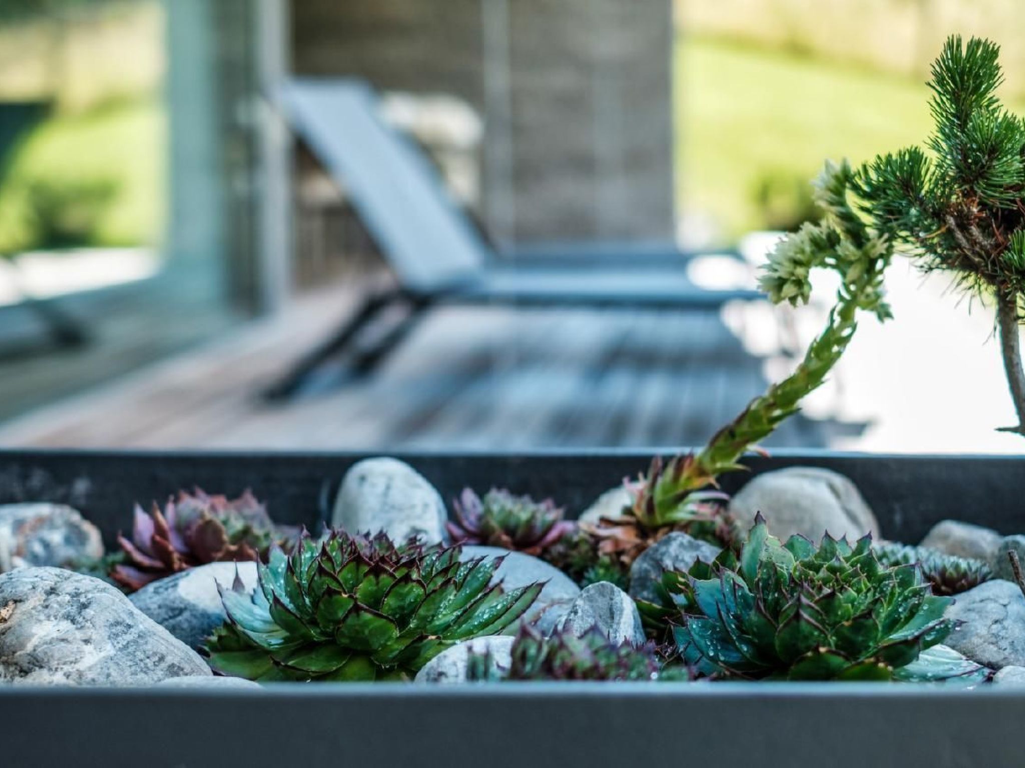 Photo of Alpengold Lux Apt 4P