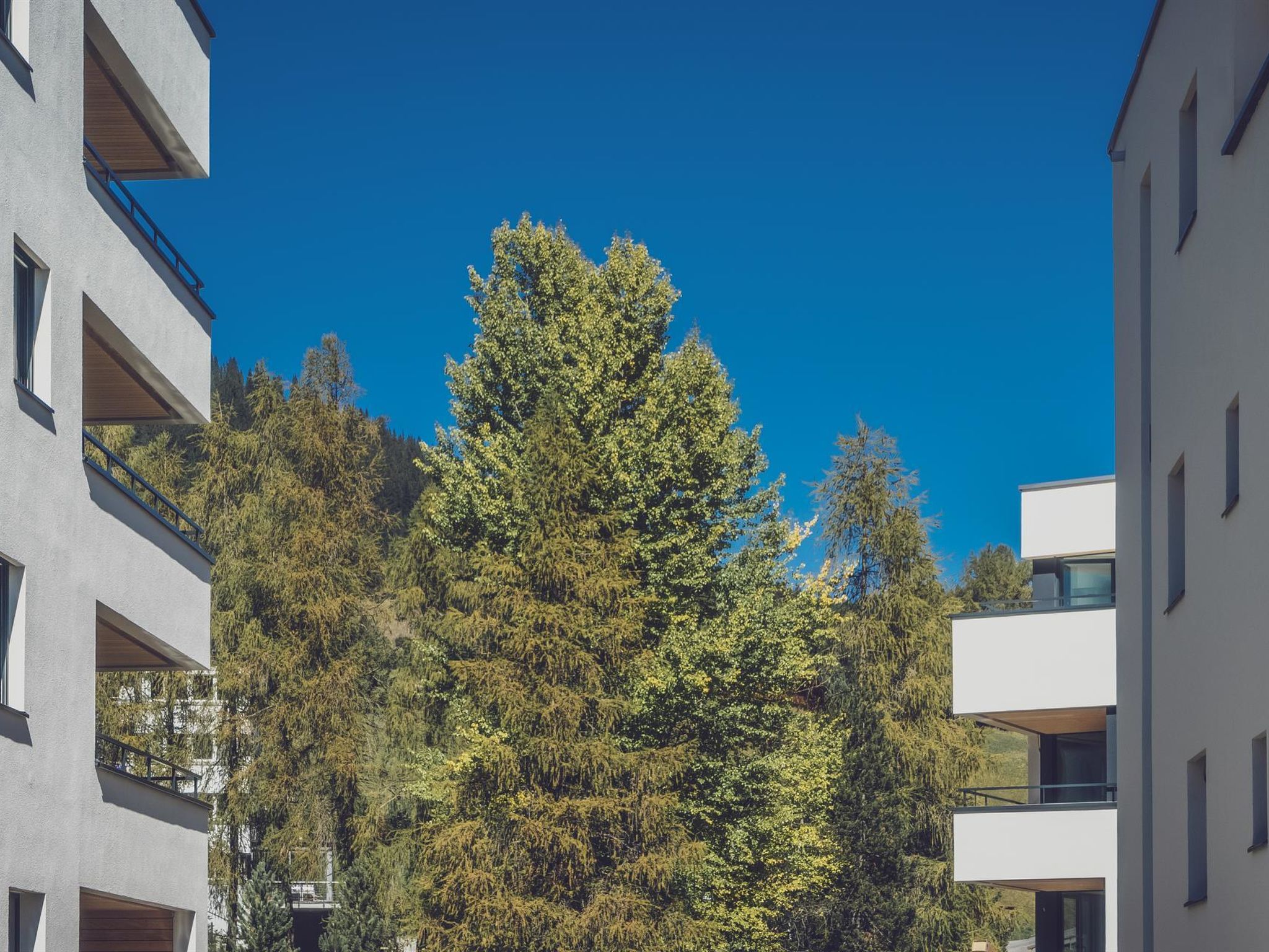 Photo of 3½-Zimmerwohnung