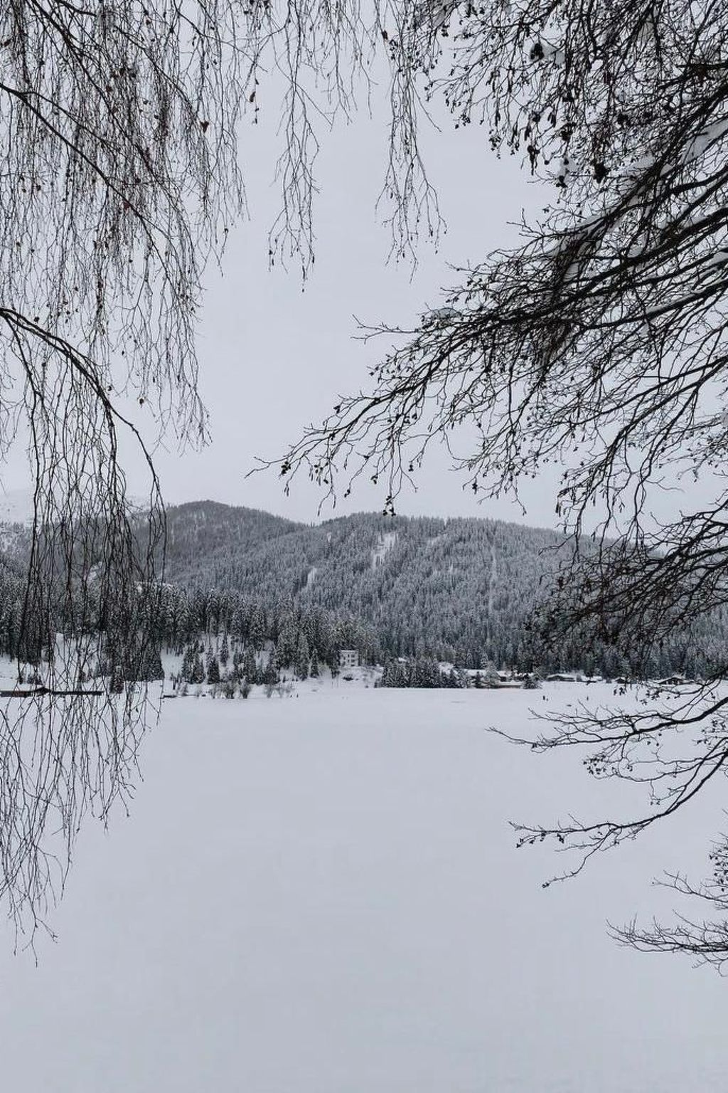 Residenz Davos von Swisspartments-Image-tags.info