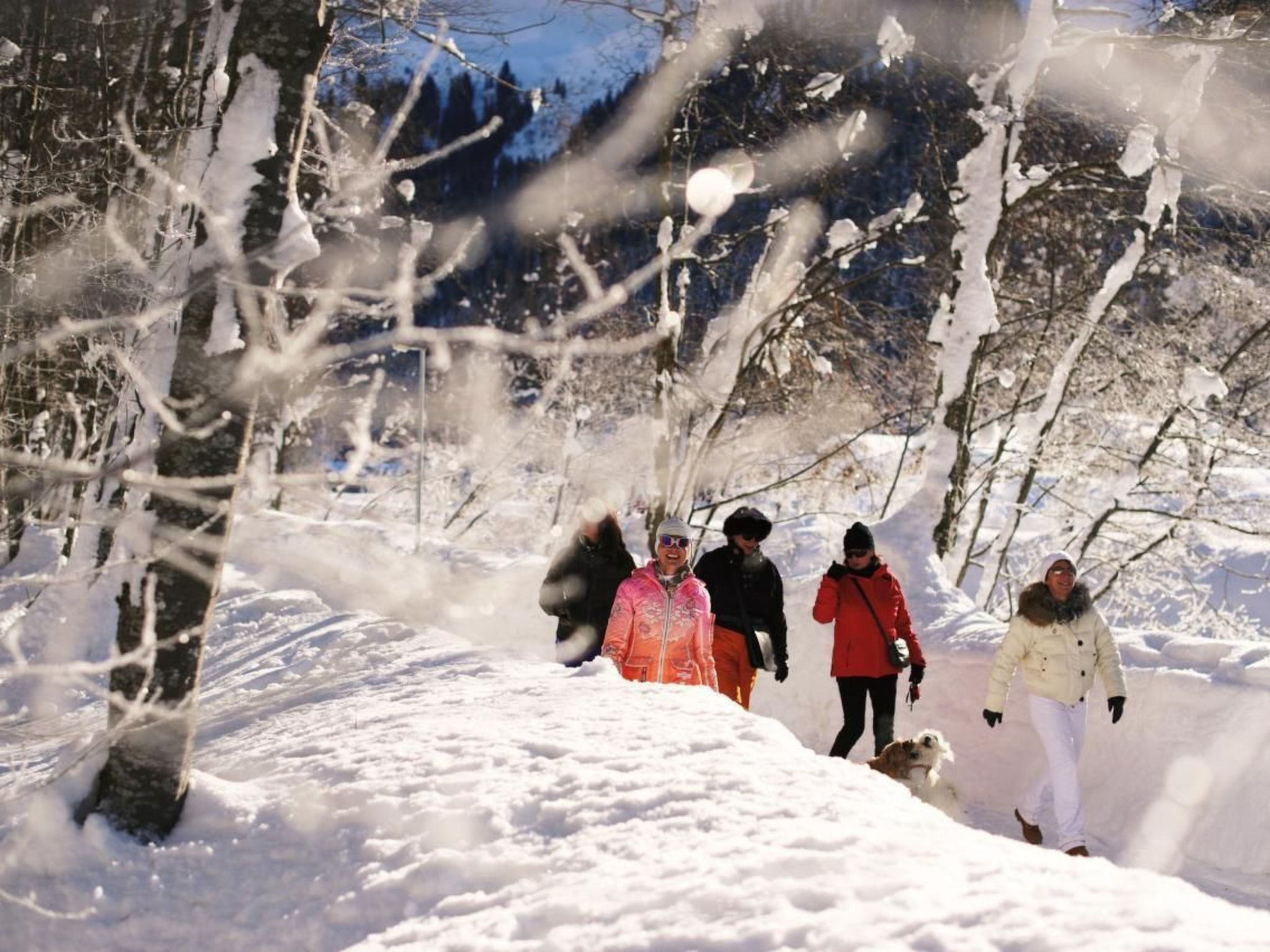 Parkareal Davos-Image-tags.info