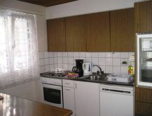 Ruim 4½-kamerappartement in Davos, direct aan skipiste en meer - thumbnail 2