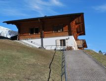 Appartement met grandioos bergpanorama in Schmitten - thumbnail 1