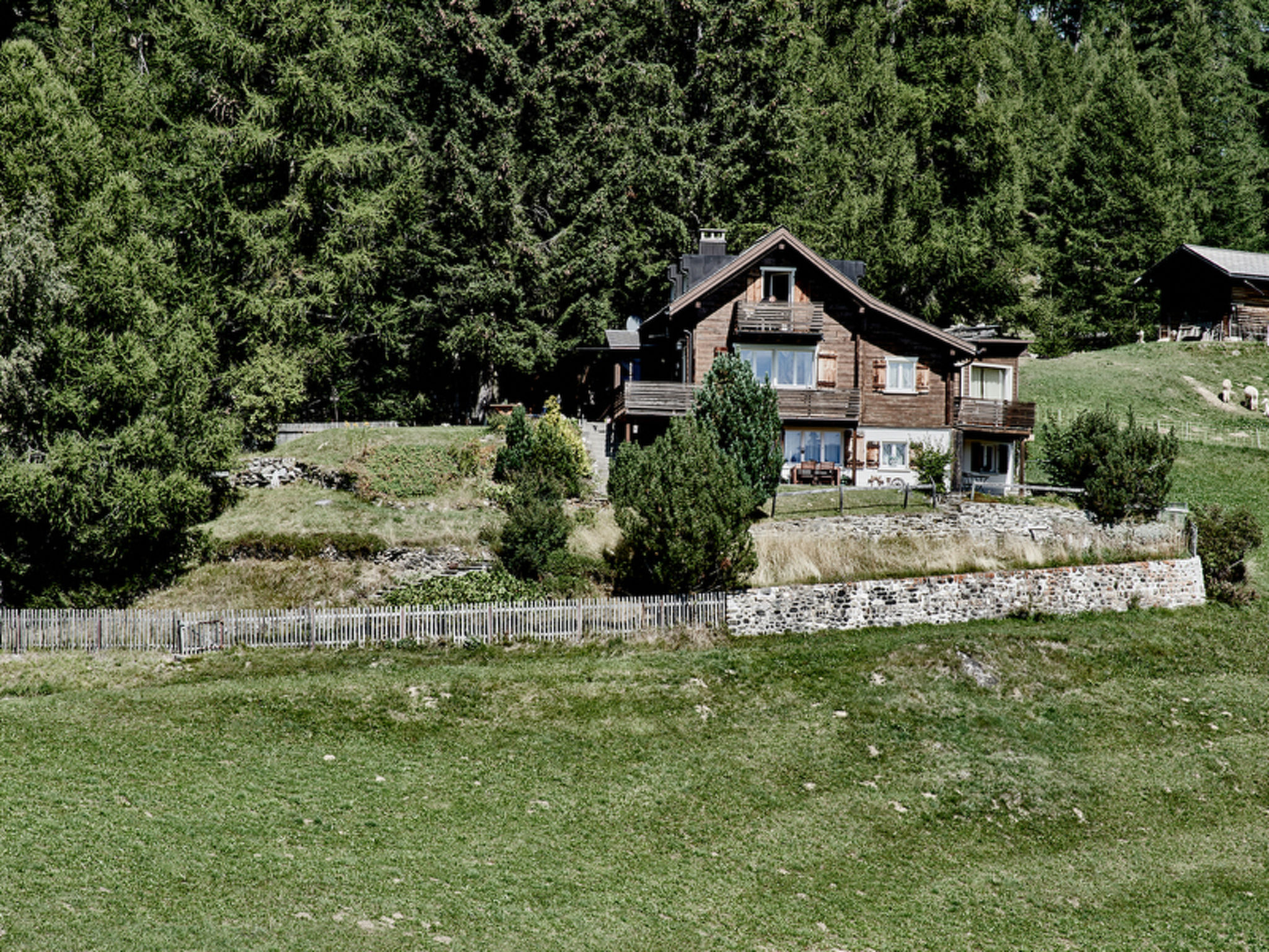 Chalet Lieuretta da Tscharfs, (Feldis),