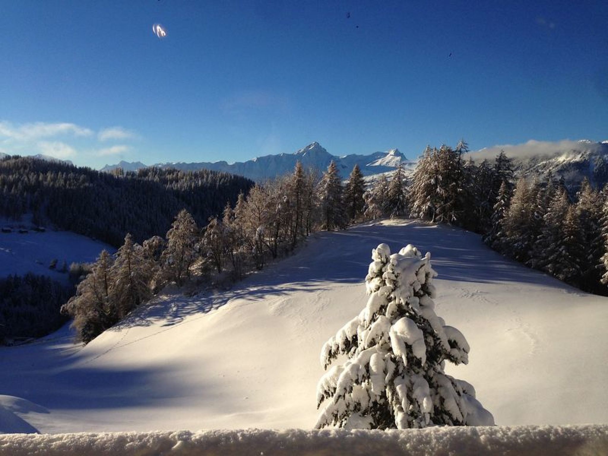 Appartement Chalet Lieuretta da Tscharfs, (Feldis), – Vue, photo 21 sur 22