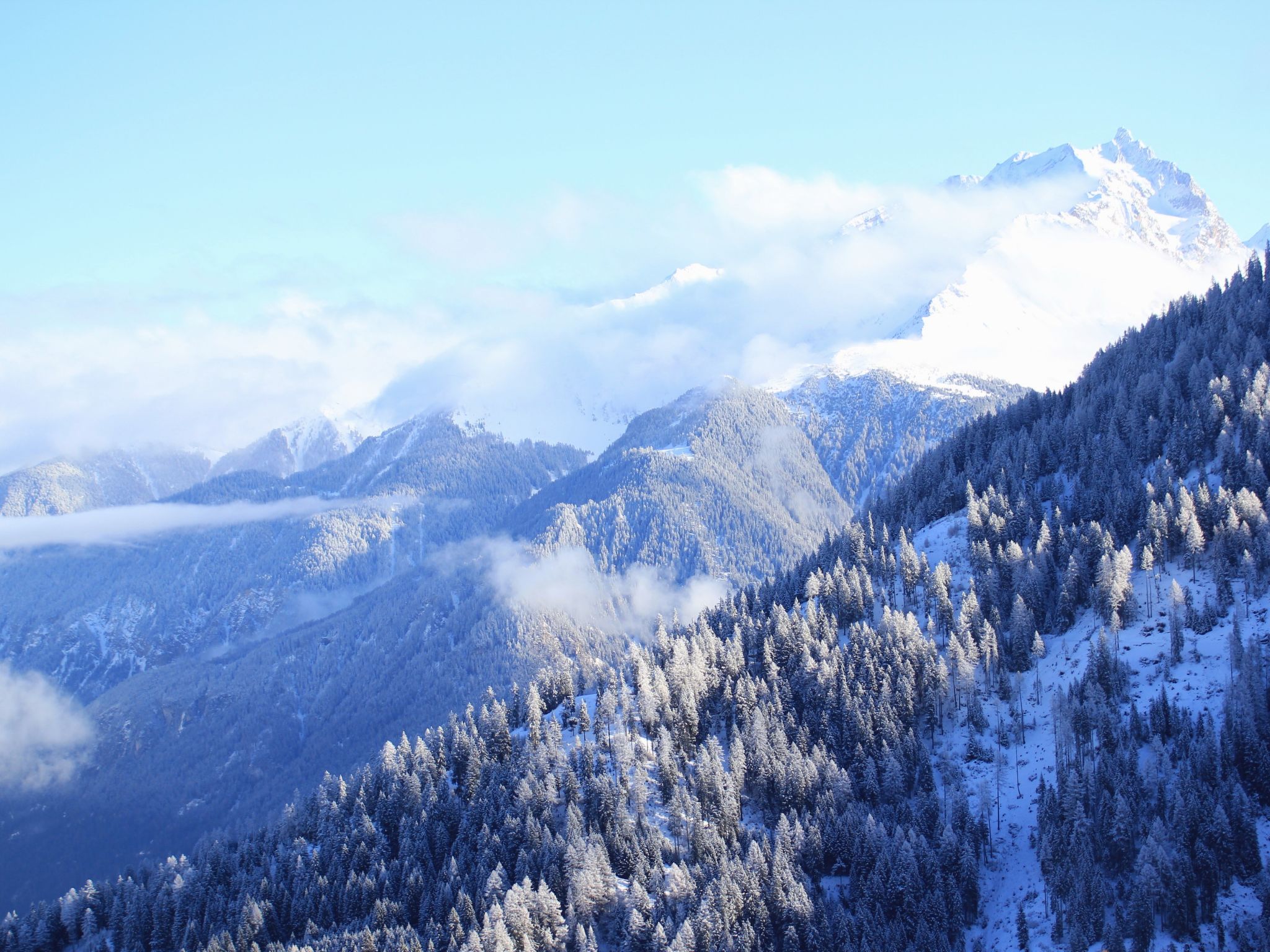 Maiensäss Stafel 45, (Mutten). - Buiten