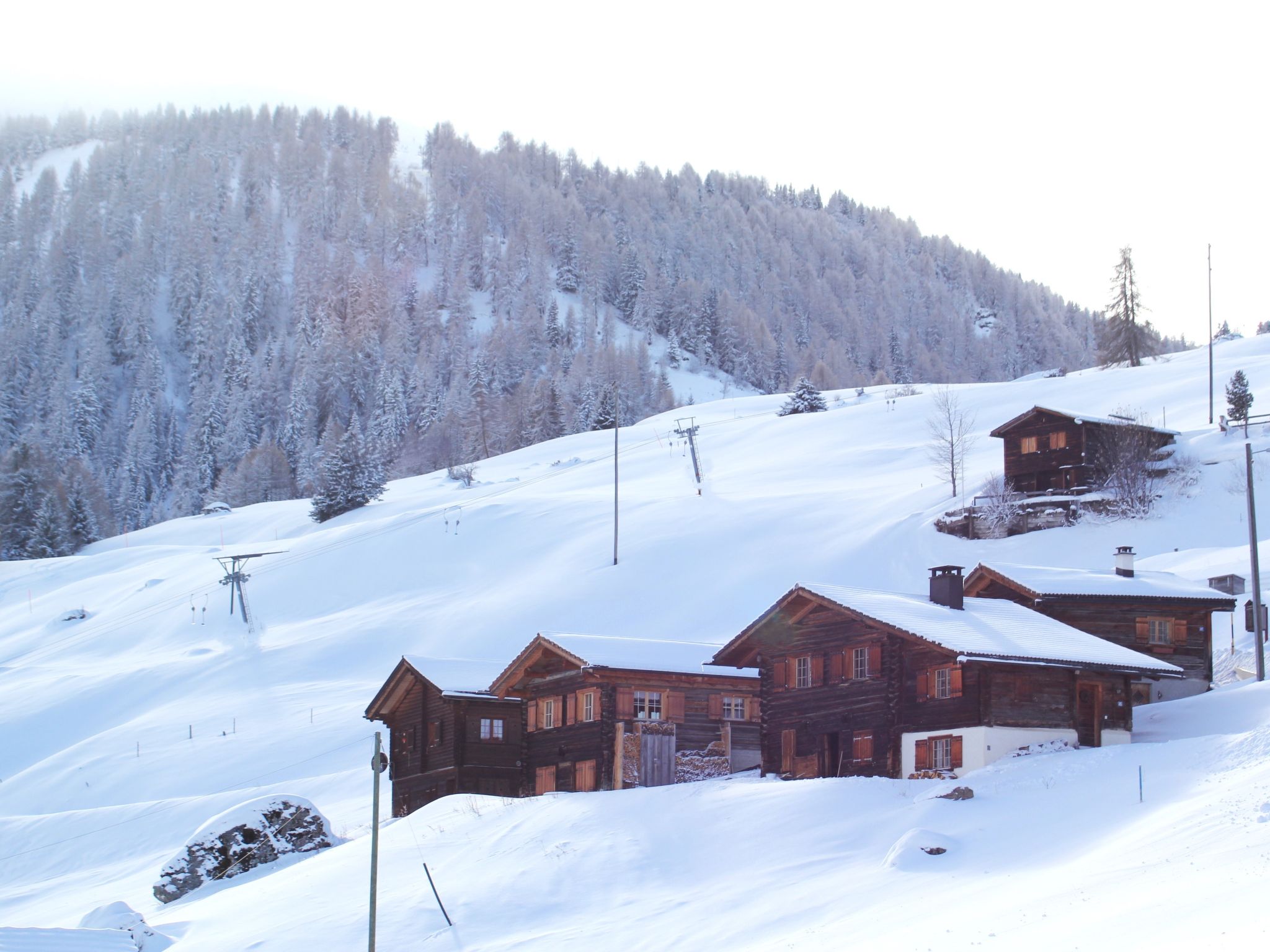 Maiensäss Stafel 45, (Mutten). - Buiten