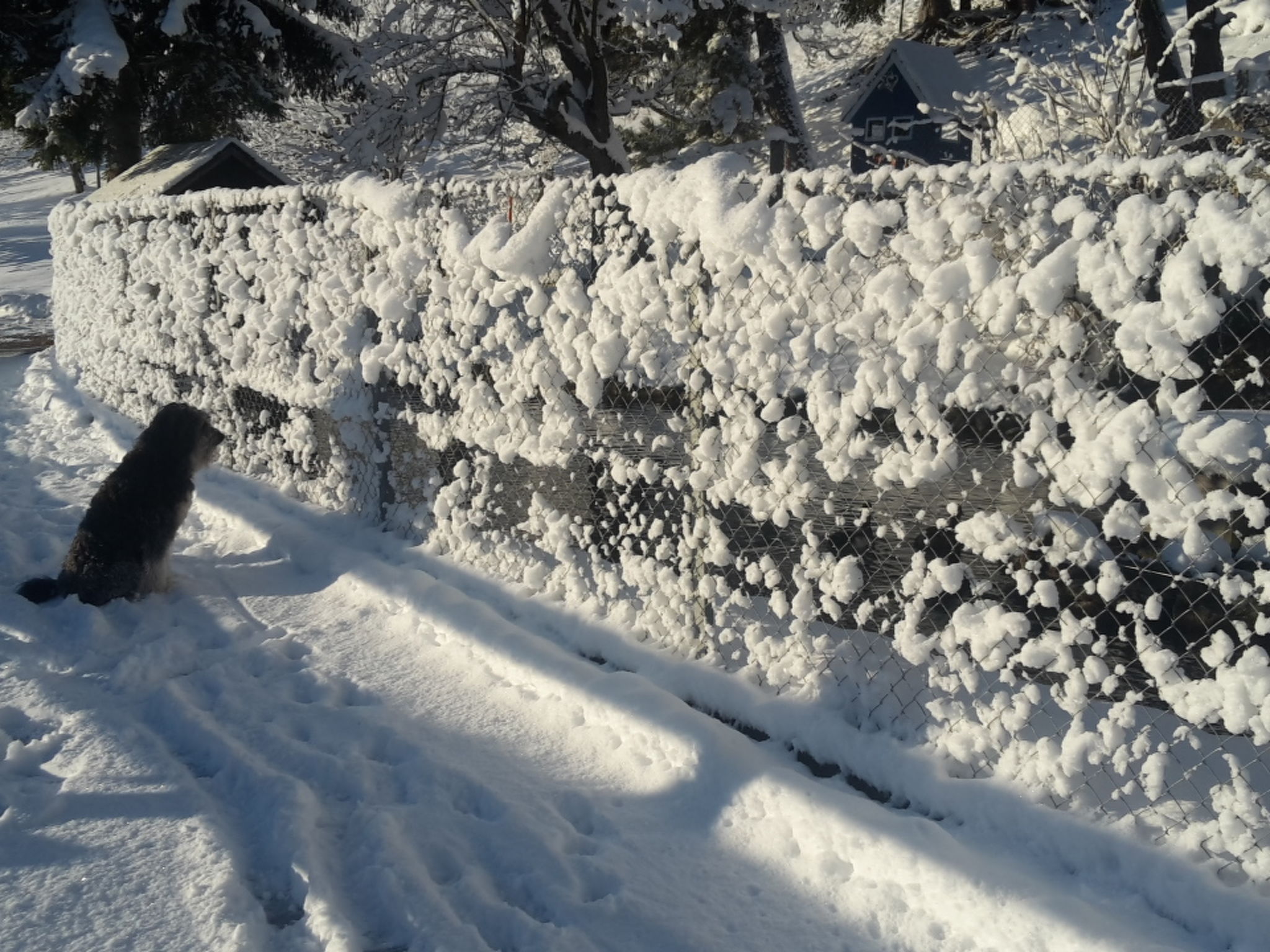 Wohnung Staudenhof, (Präz). - Buiten