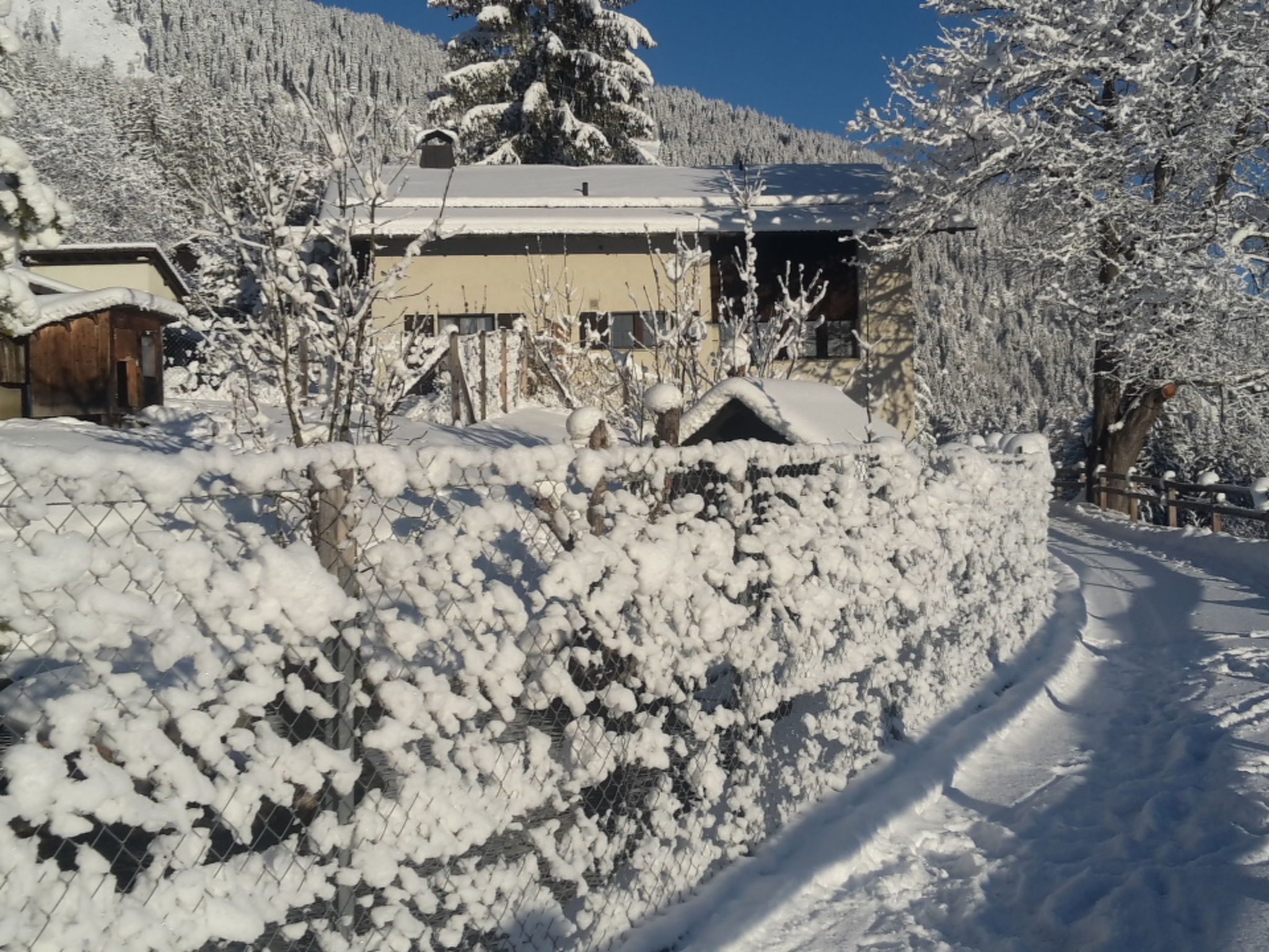Wohnung Staudenhof, (Präz). - Buiten