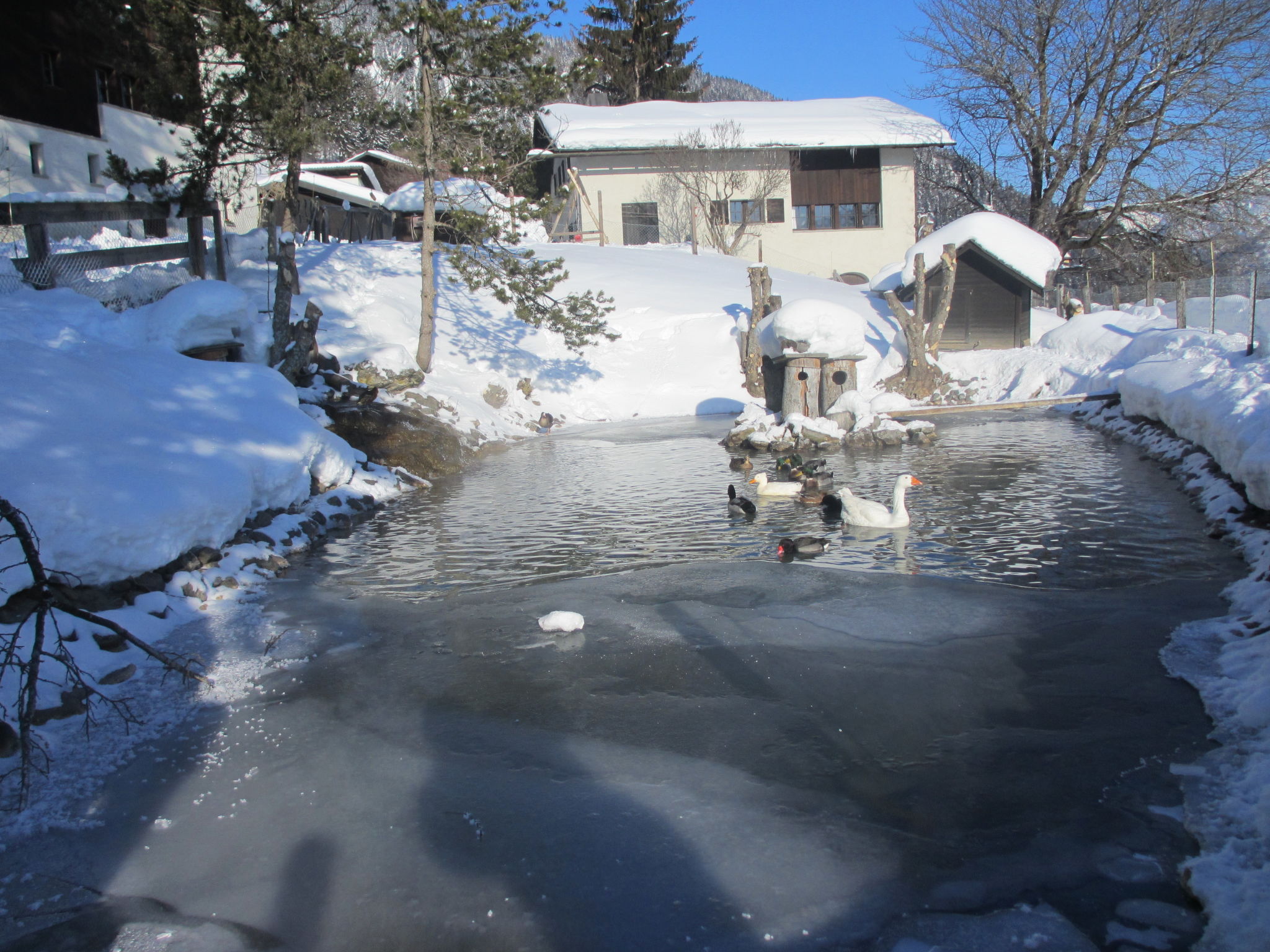 Wohnung Staudenhof, (Präz). - Buiten