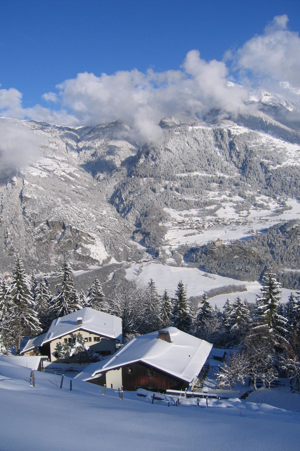Wohnung Staudenhof, (Präz). - Buiten