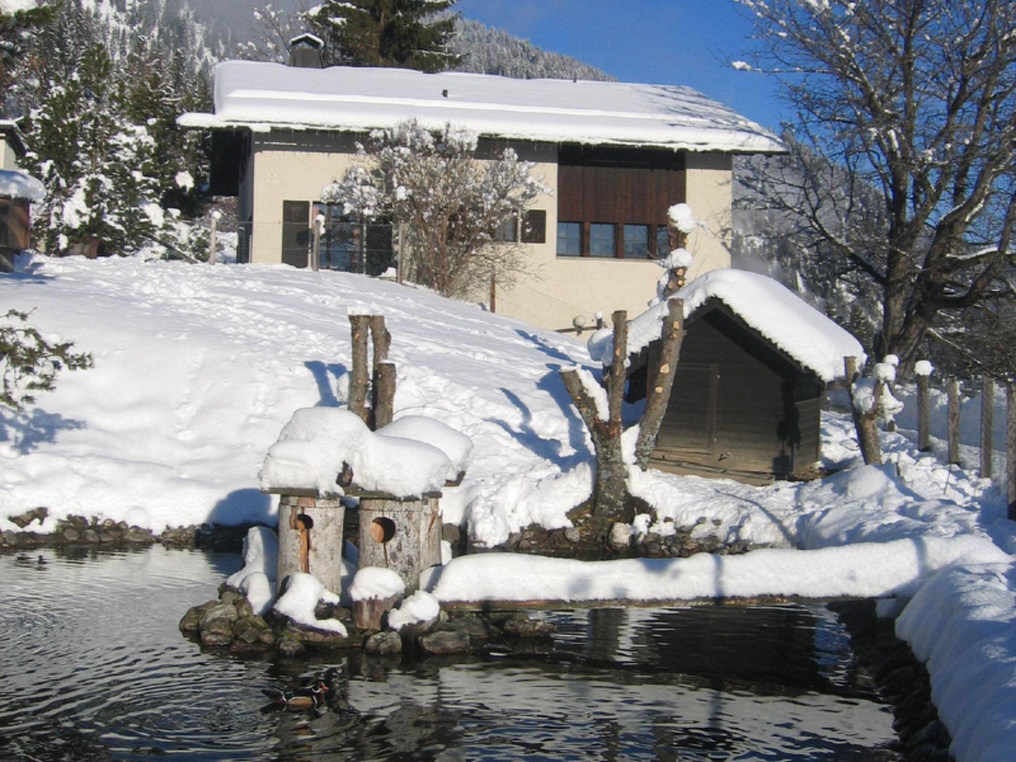 Wohnung Staudenhof, (Präz). - Buiten