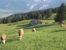 Authentiek berghuisje op 1700m met panoramisch uitzicht in Graubünden - thumbnail 3