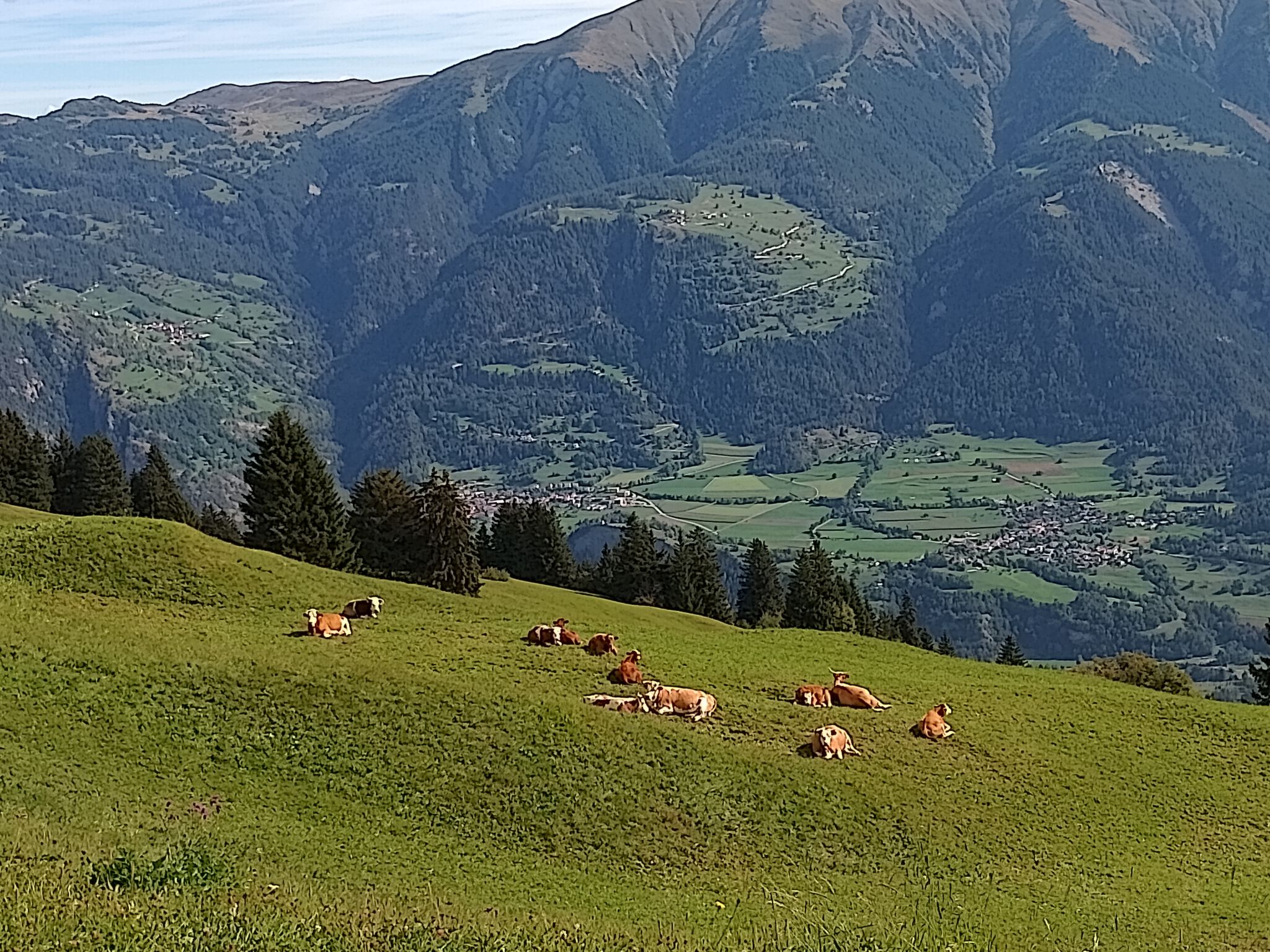 Maiensäss Rüs, (Präz). - Buiten