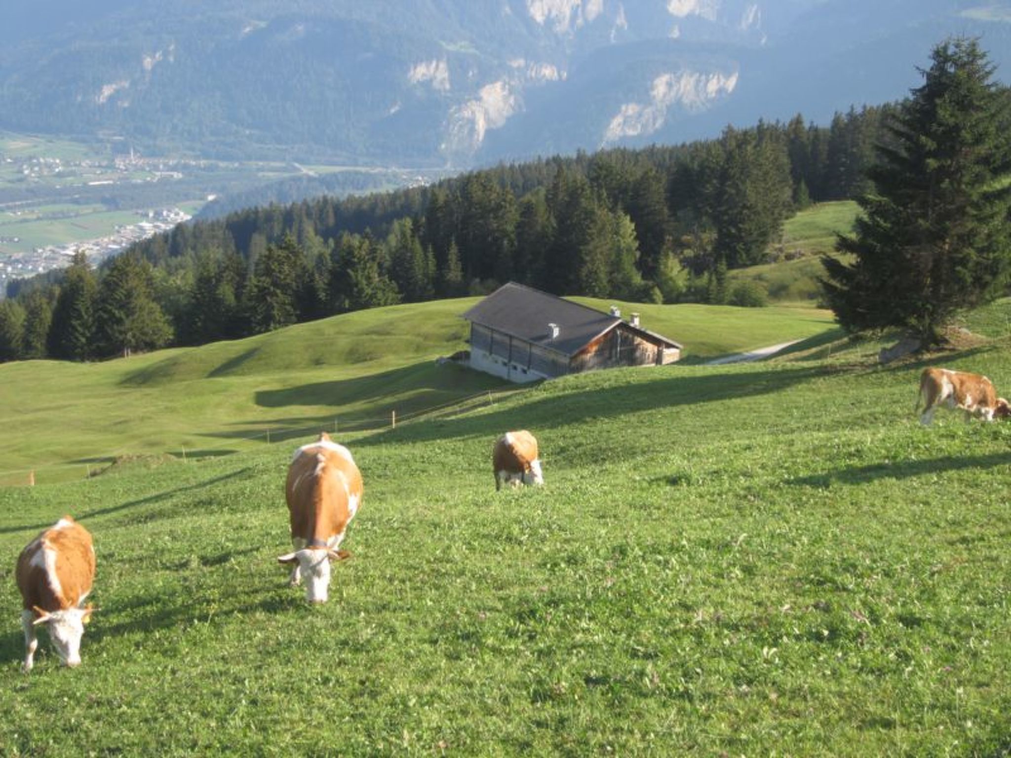 Appartement Maiensäss Rüs, (Präz), – Vue, photo 10 sur 16