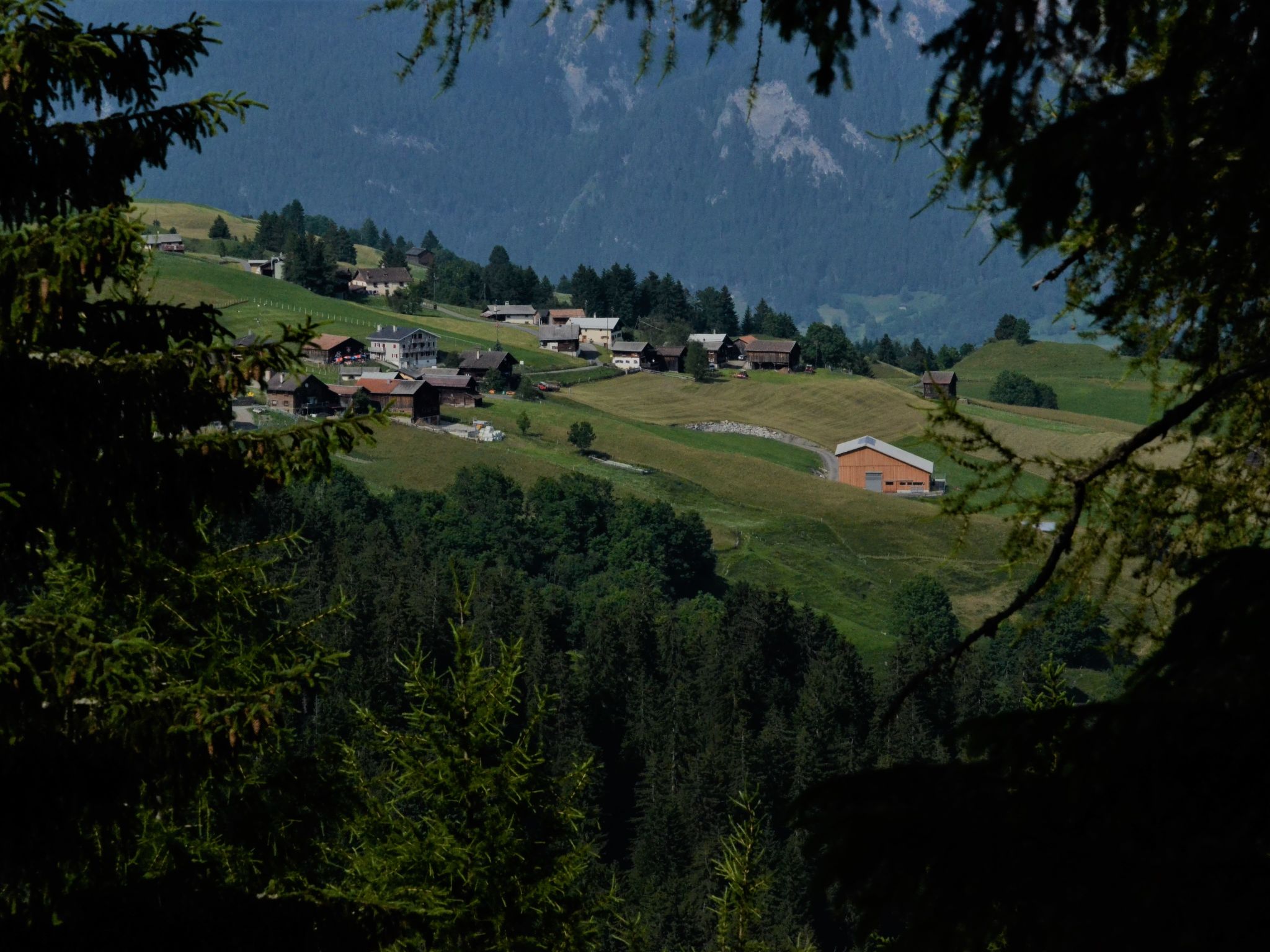 Hof Beeli, (Tschappina). - Dehors