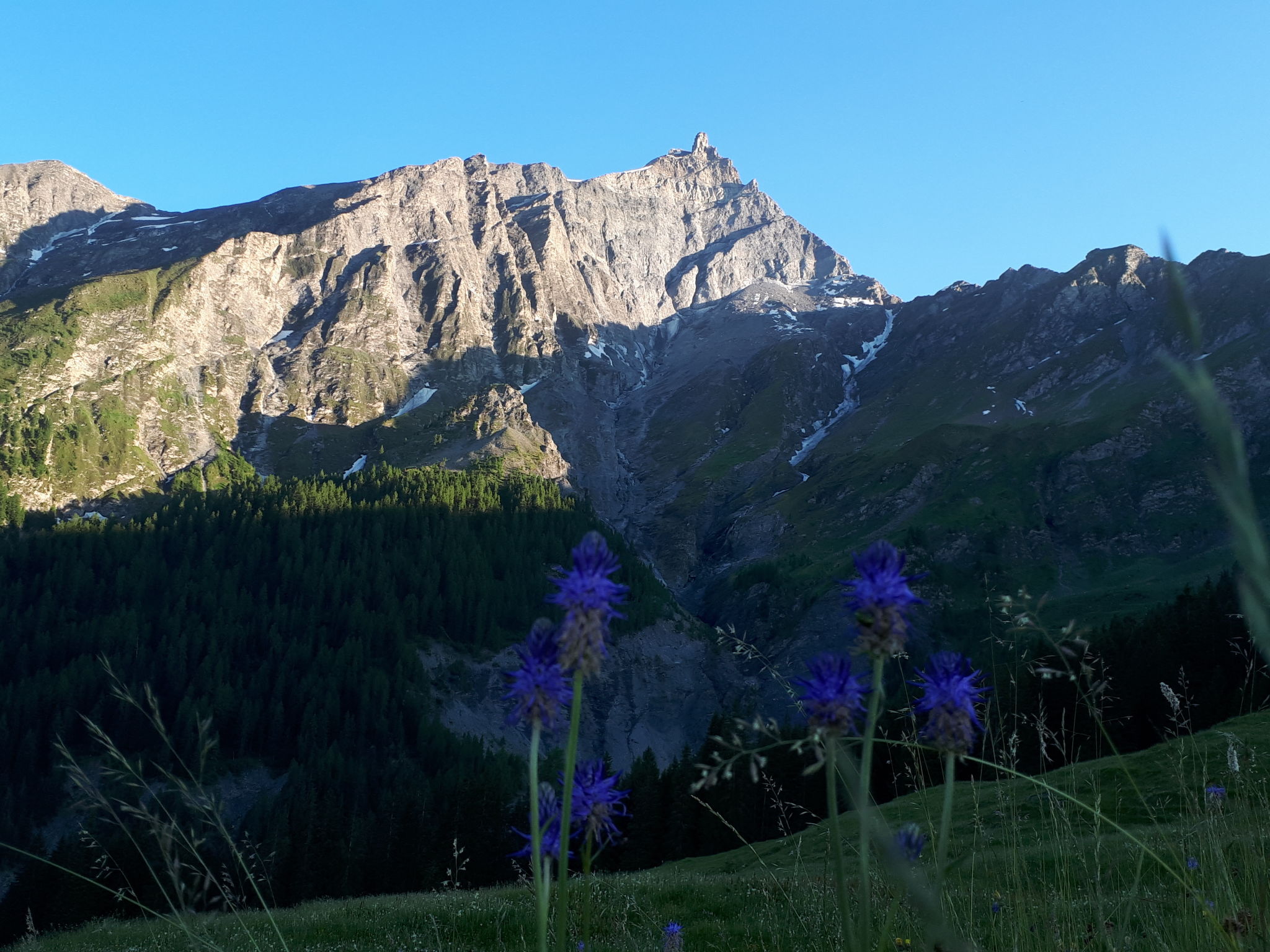 Hof Beeli, (Tschappina).