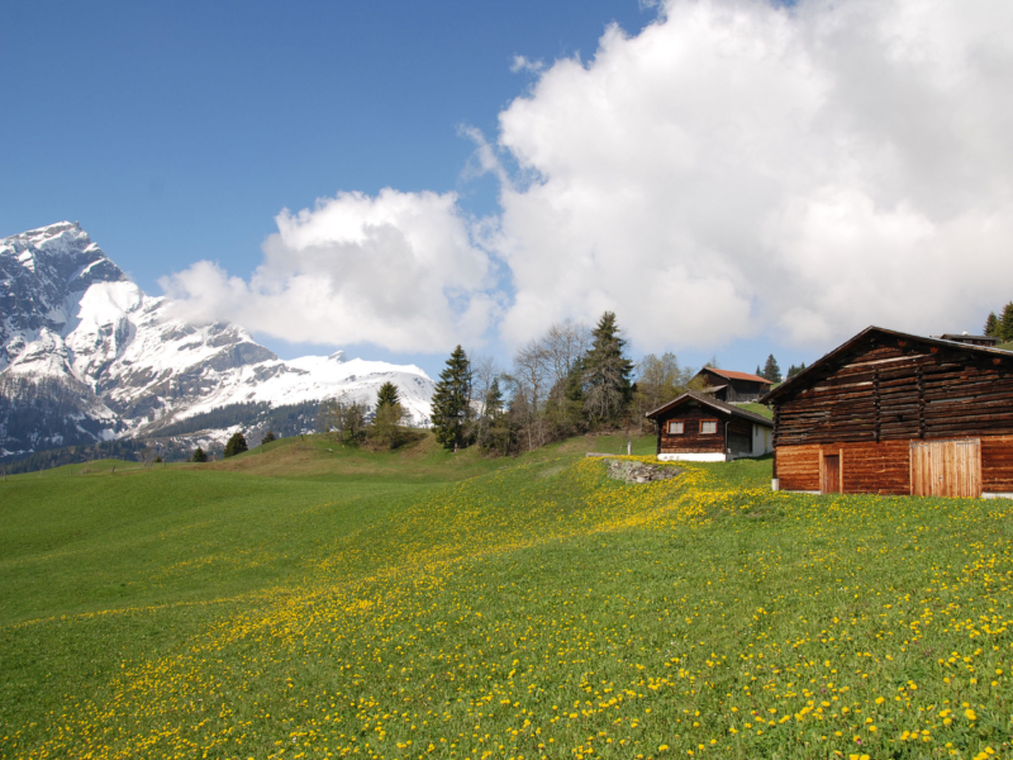 Maiensäss Casaritsch, (Urmein).