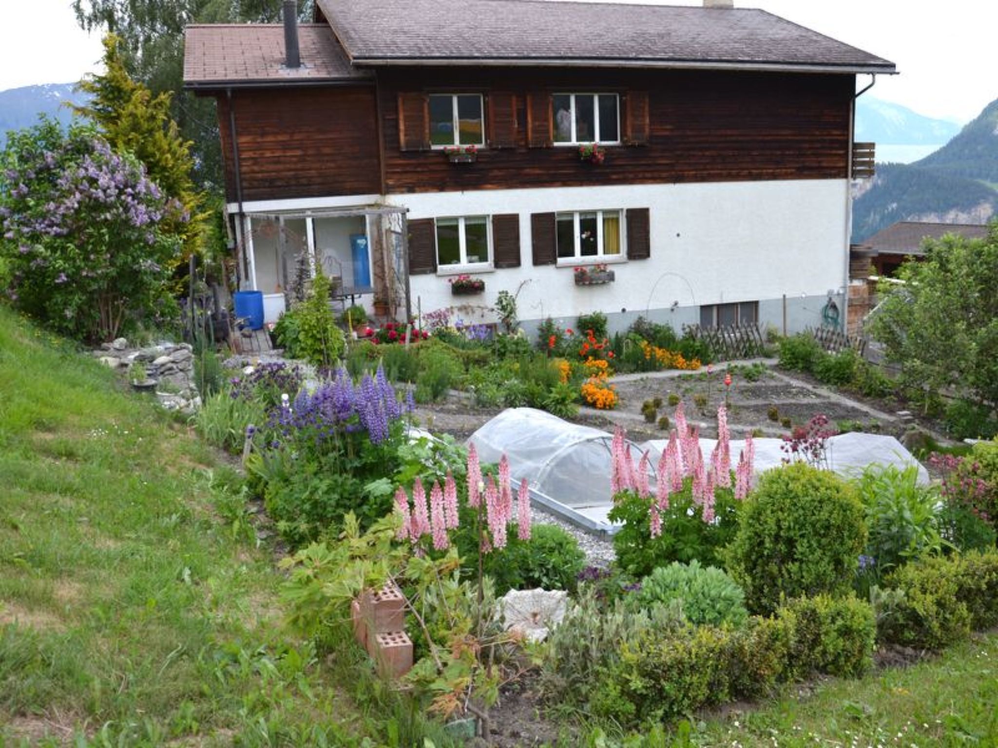 Appartement Wohnung Hof Coms, (Urmein), – Extérieur, photo 10 sur 20