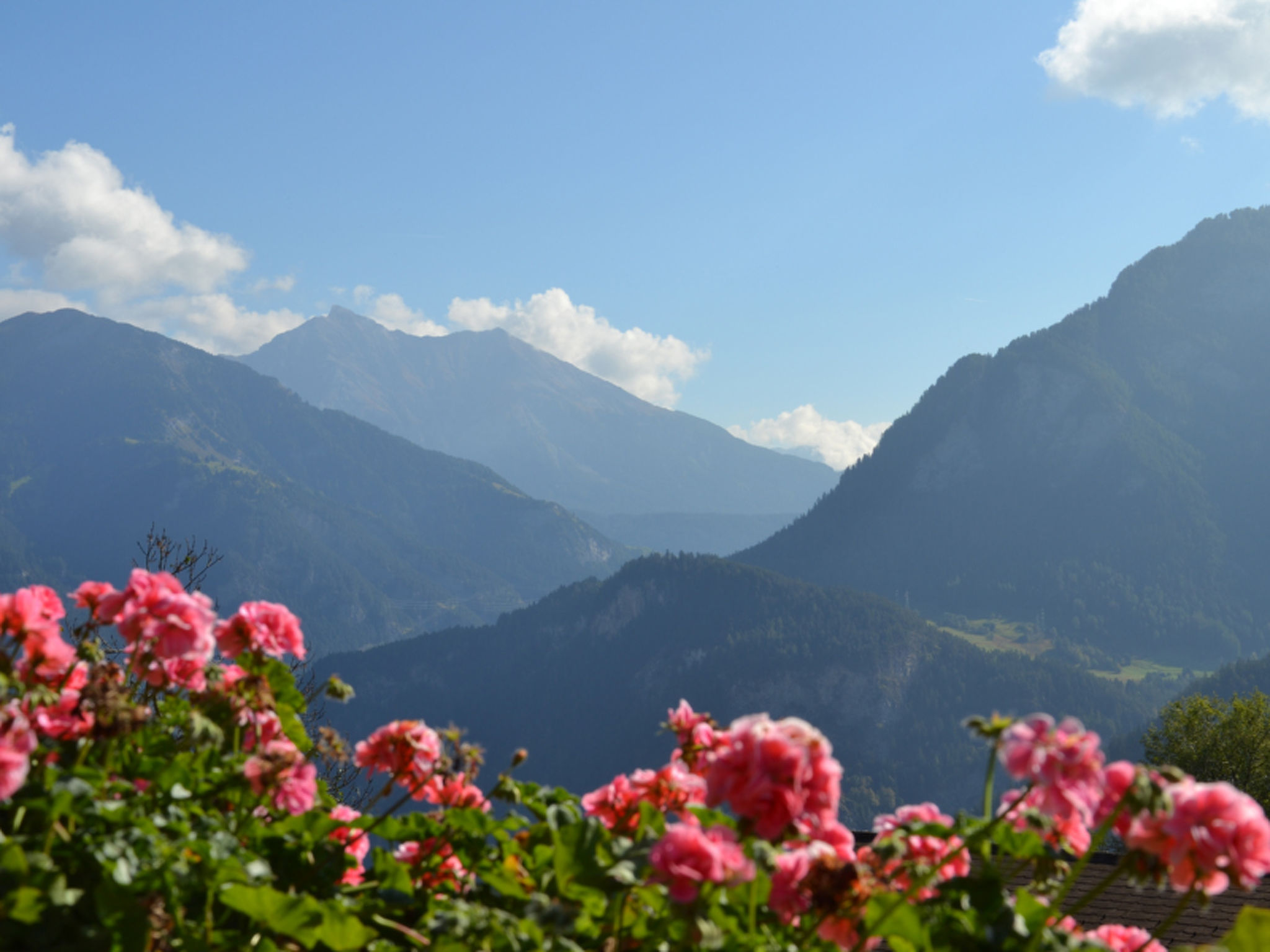Wohnung Hof Coms, (Urmein). - Buiten