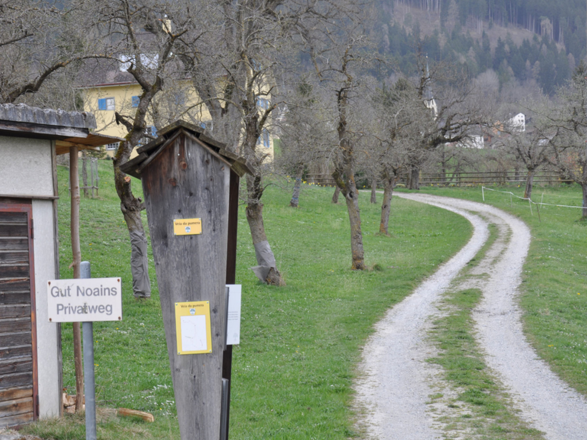 Haus Noains, (Rodels). - Buiten