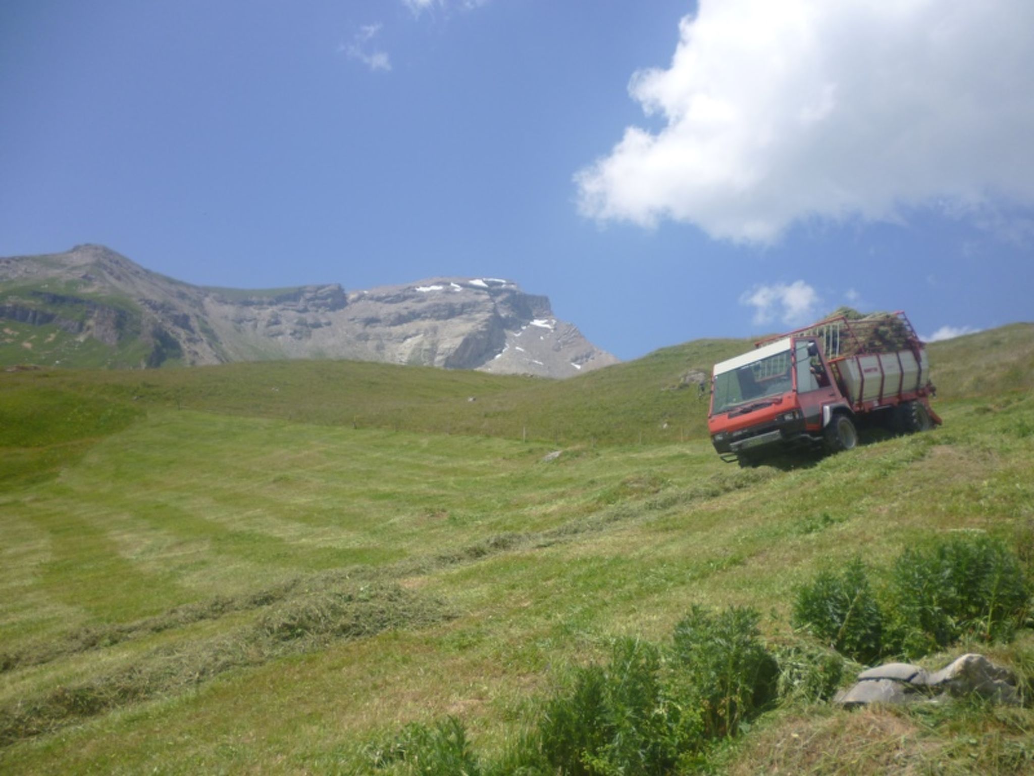 Maiensäss Dros, (Mathon). - Buiten