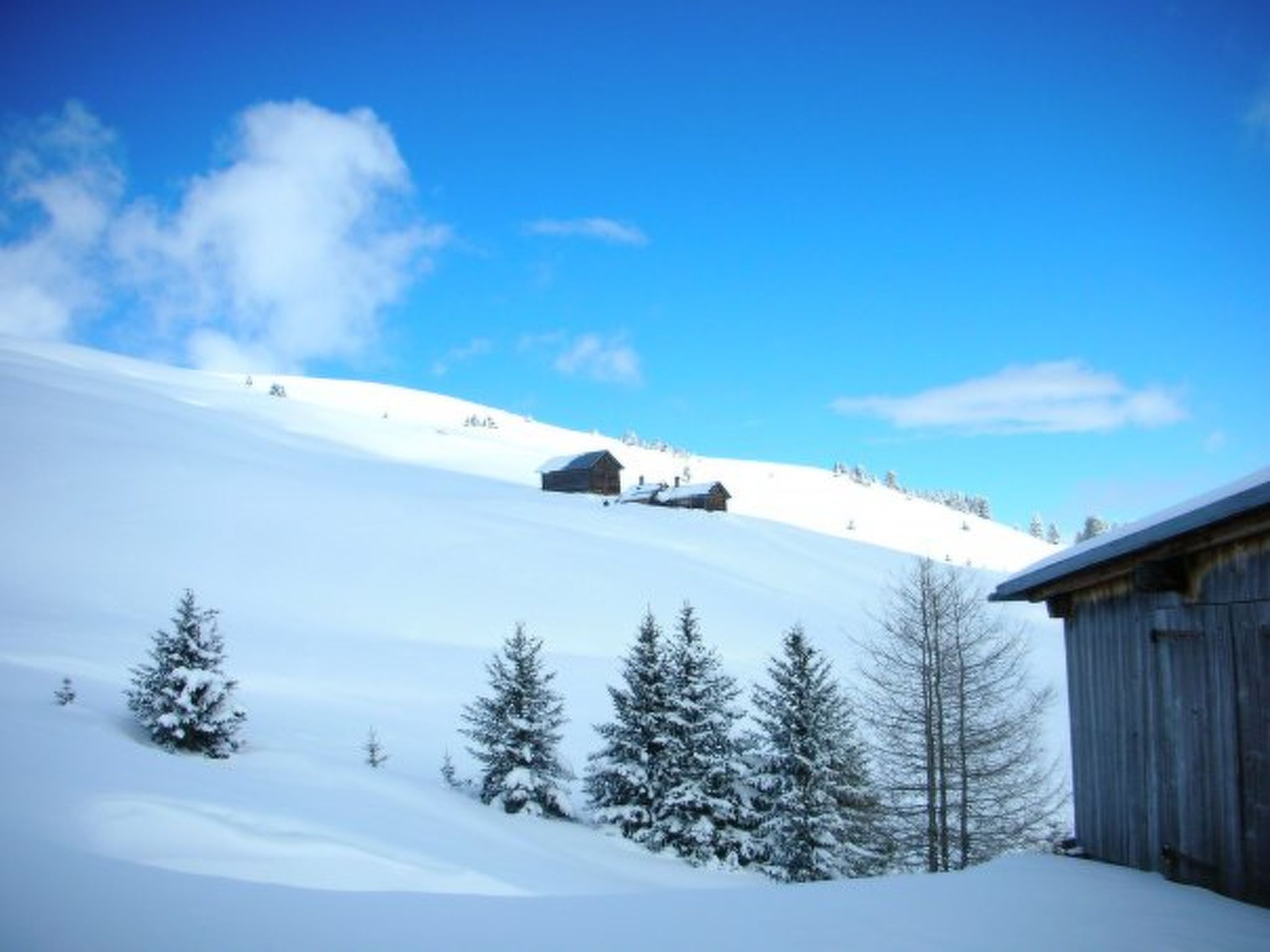 Maiensäss Dros, (Mathon). - Buiten